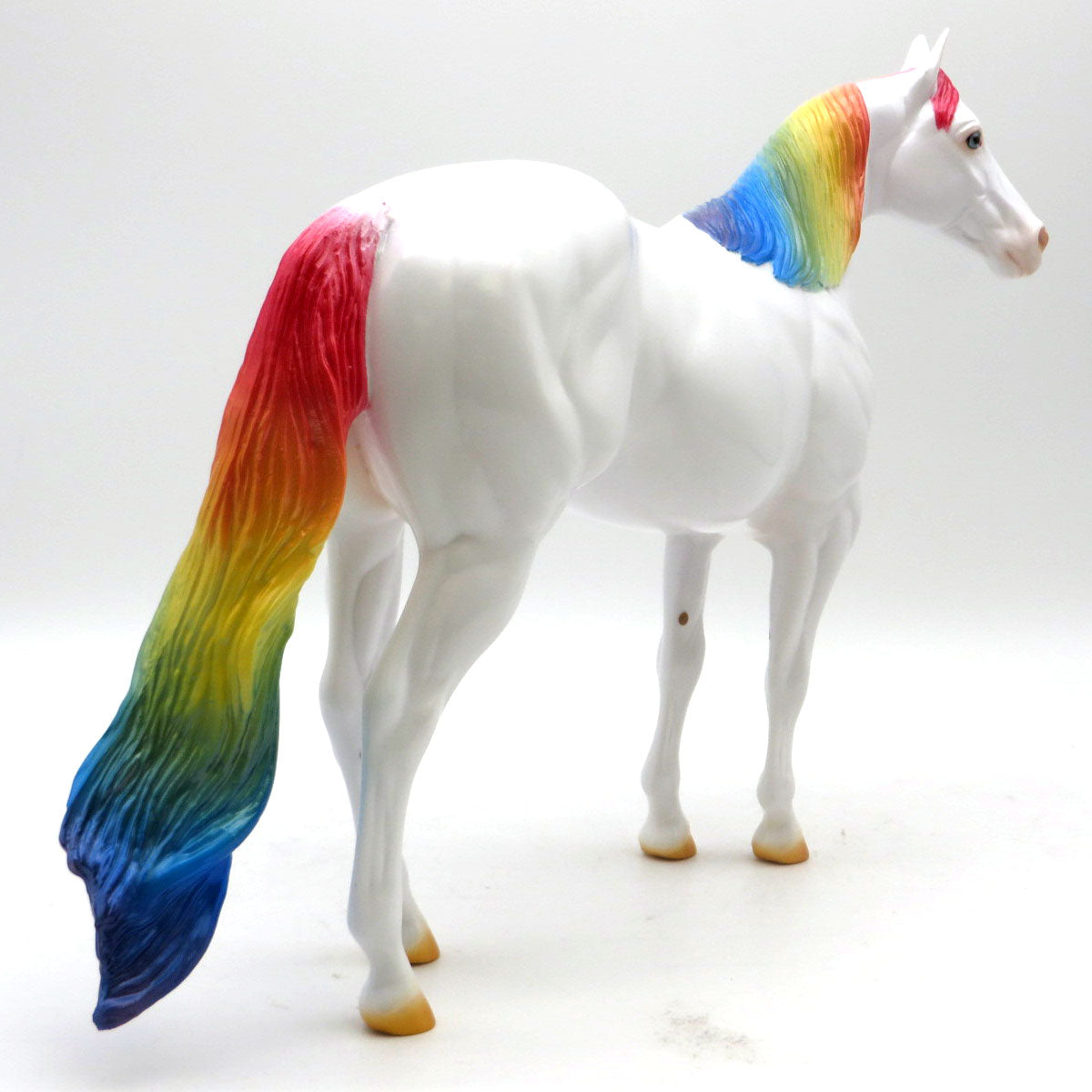 All the Colors | DAH Special