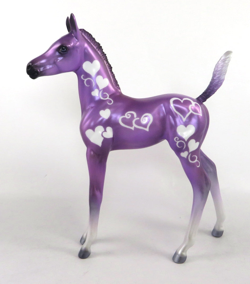 arabian foal 