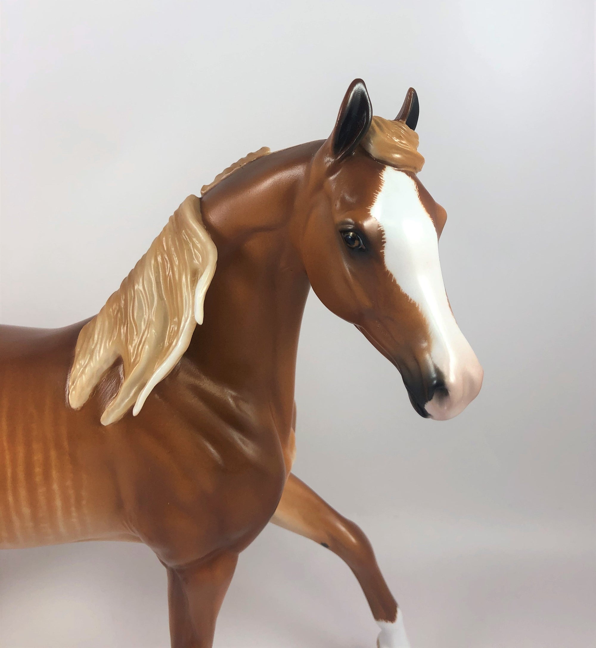 PUMPKIN LATTE-OOAK CHESTNUT SABINO ARABIAN MARE LHS 2019