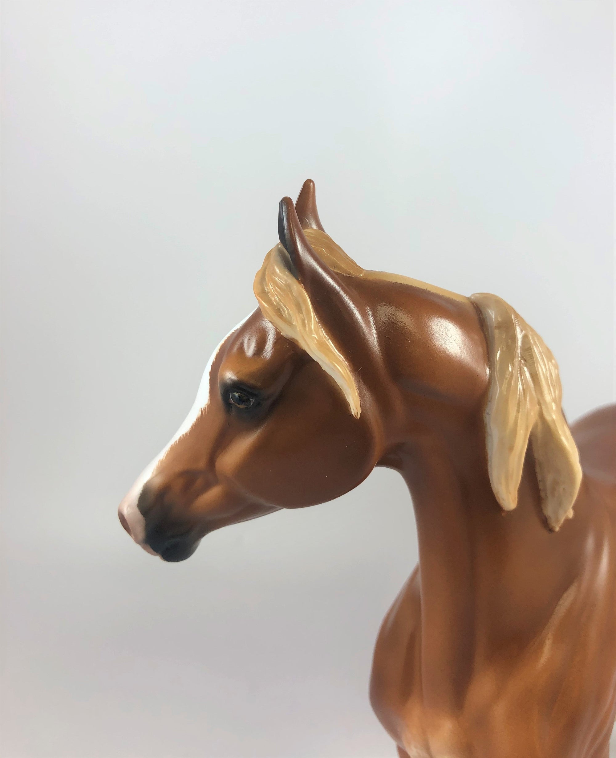 PUMPKIN LATTE-OOAK CHESTNUT SABINO ARABIAN MARE LHS 2019