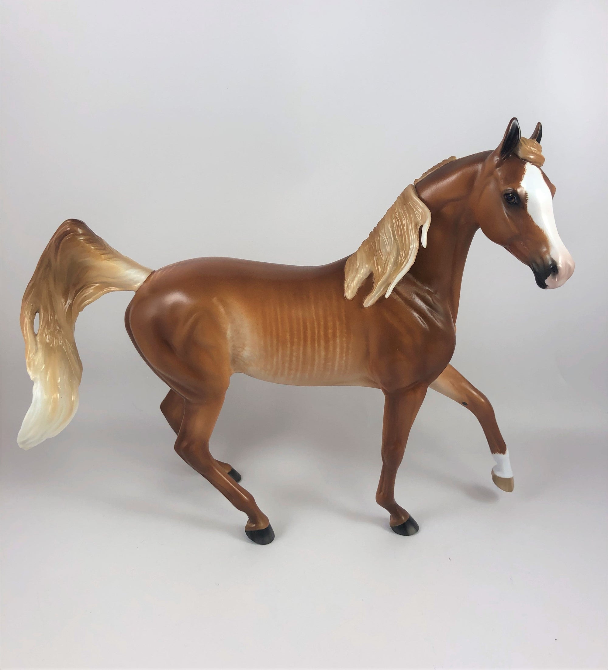 PUMPKIN LATTE-OOAK CHESTNUT SABINO ARABIAN MARE LHS 2019