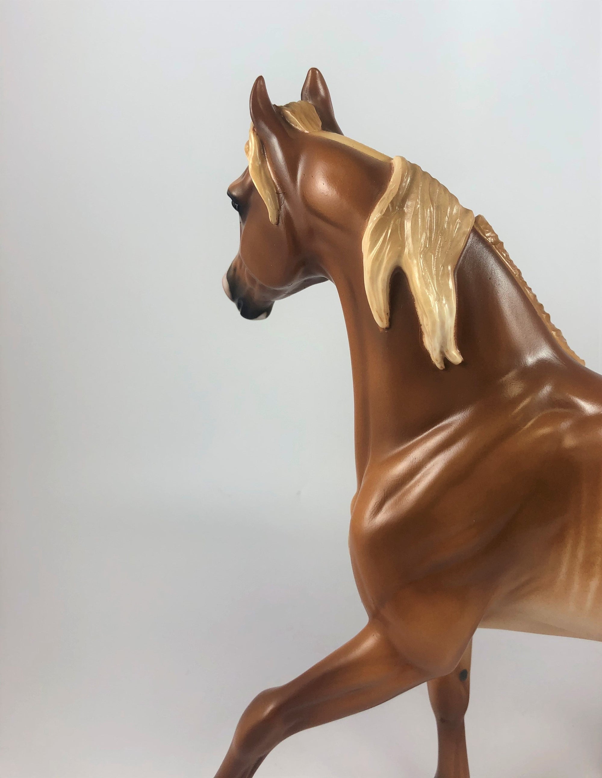 PUMPKIN LATTE-OOAK CHESTNUT SABINO ARABIAN MARE LHS 2019