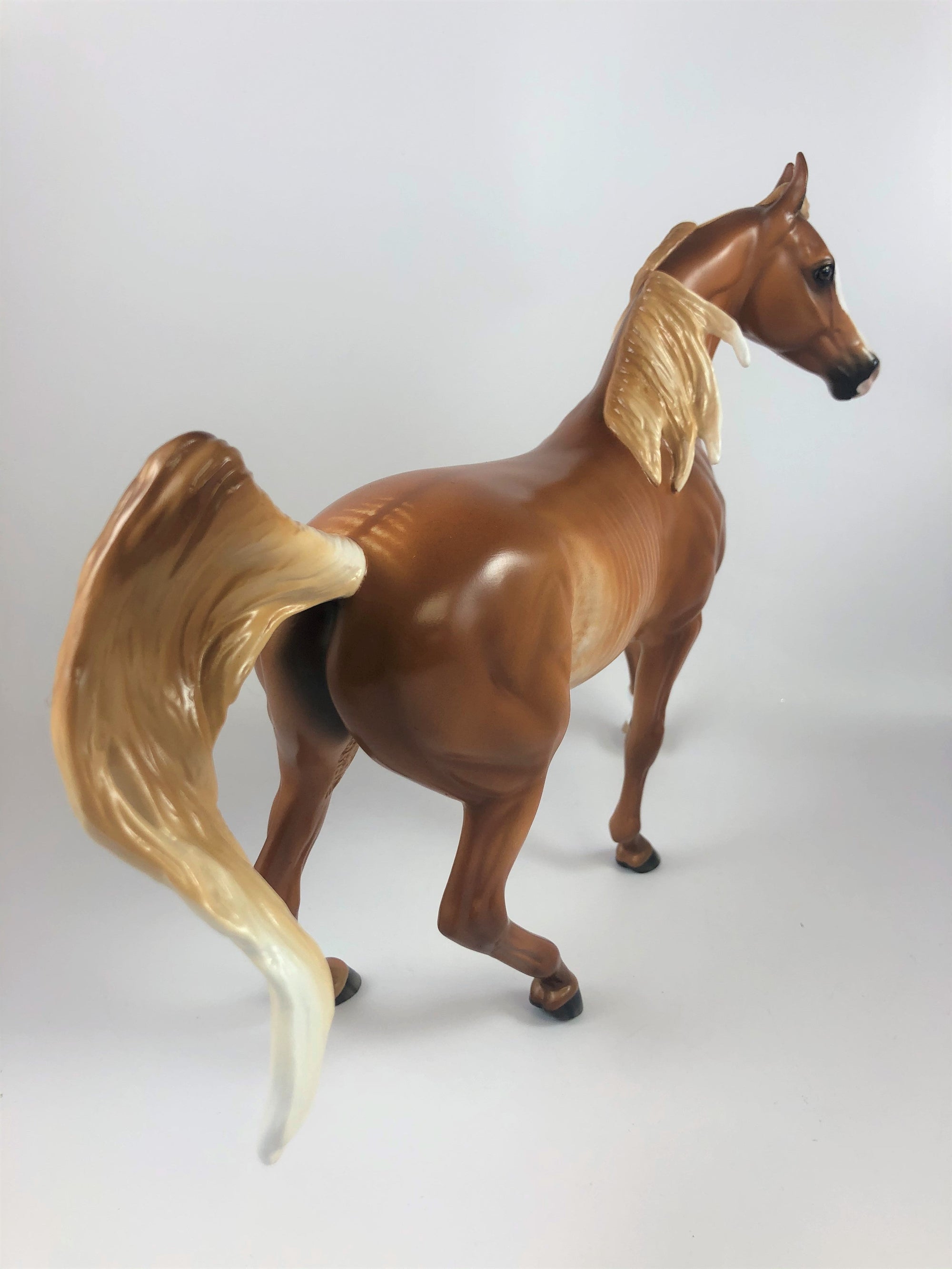 PUMPKIN LATTE-OOAK CHESTNUT SABINO ARABIAN MARE LHS 2019