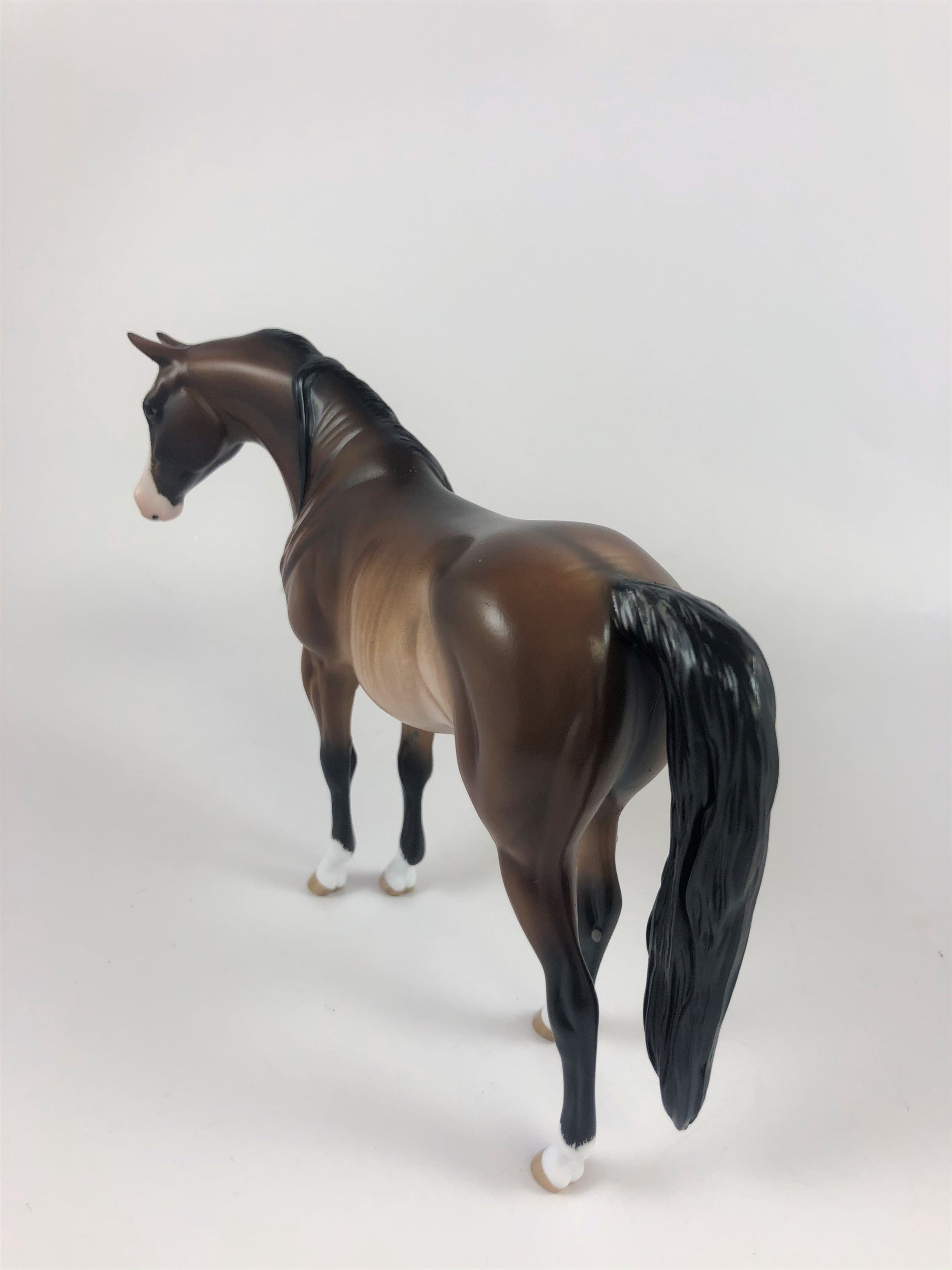 PUMPKIN SPICE-OOAK BAY RABICANO ARABIAN MARE PEBBLES LHS 2019