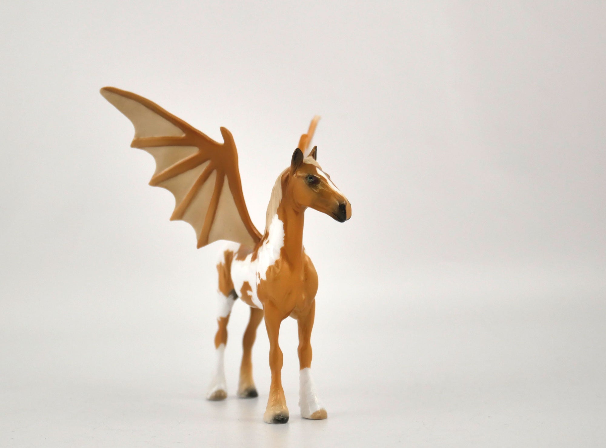 Pumpkin Light Bat Chip Draft By Audrey Dixon MM 2020