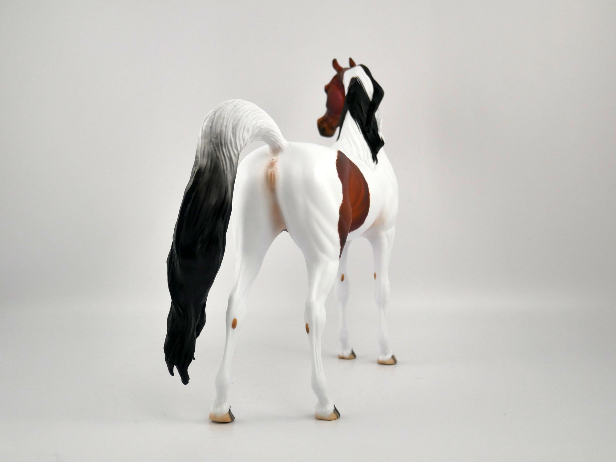 Pumpkin Spice-OOAK Bay Pinto Arabian By Julie Keim MM 2020