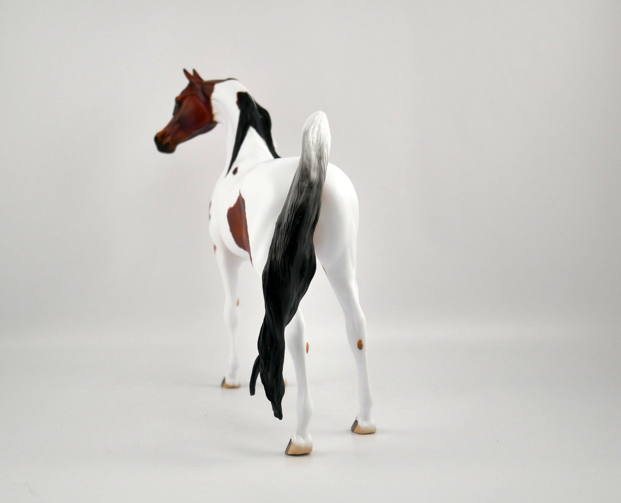 Pumpkin Spice-OOAK Bay Pinto Arabian By Julie Keim MM 2020