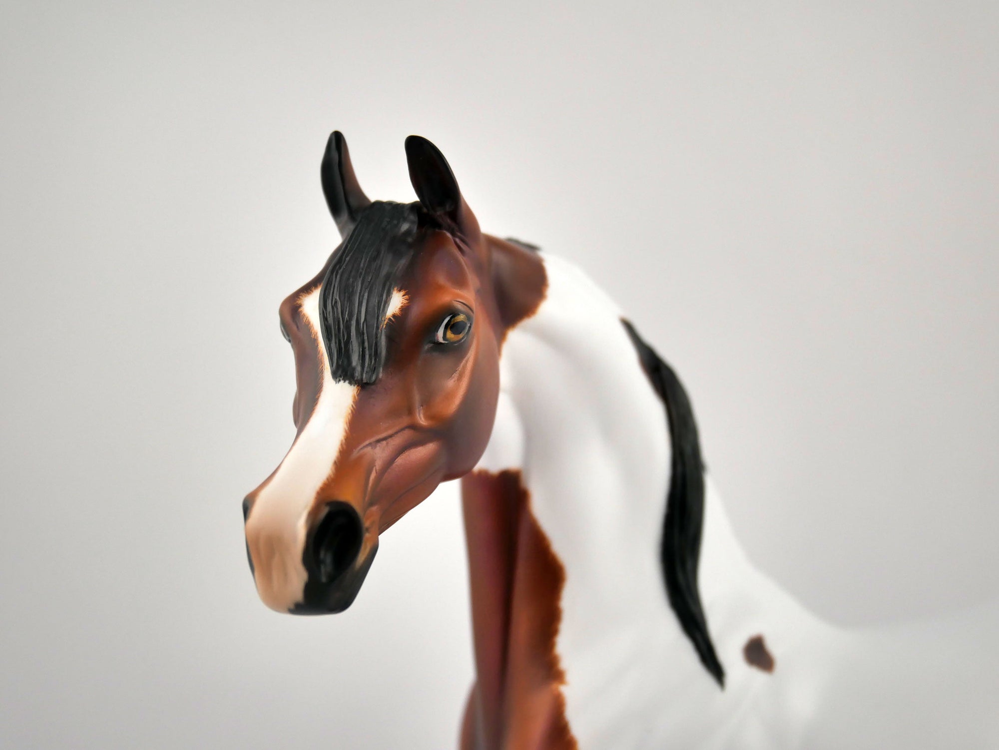 Pumpkin Spice-OOAK Bay Pinto Arabian By Julie Keim MM 2020