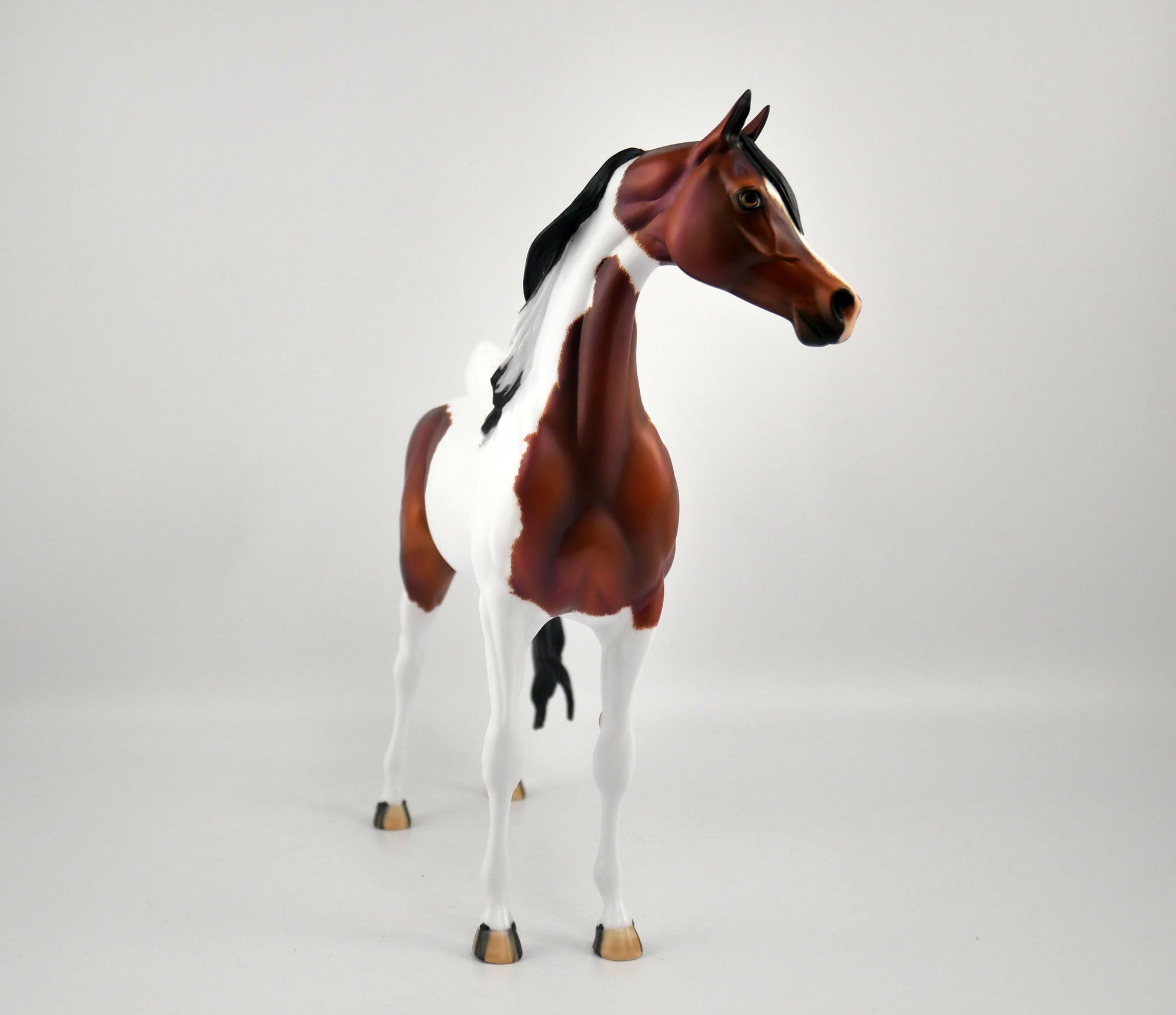 Pumpkin Spice-OOAK Bay Pinto Arabian By Julie Keim MM 2020