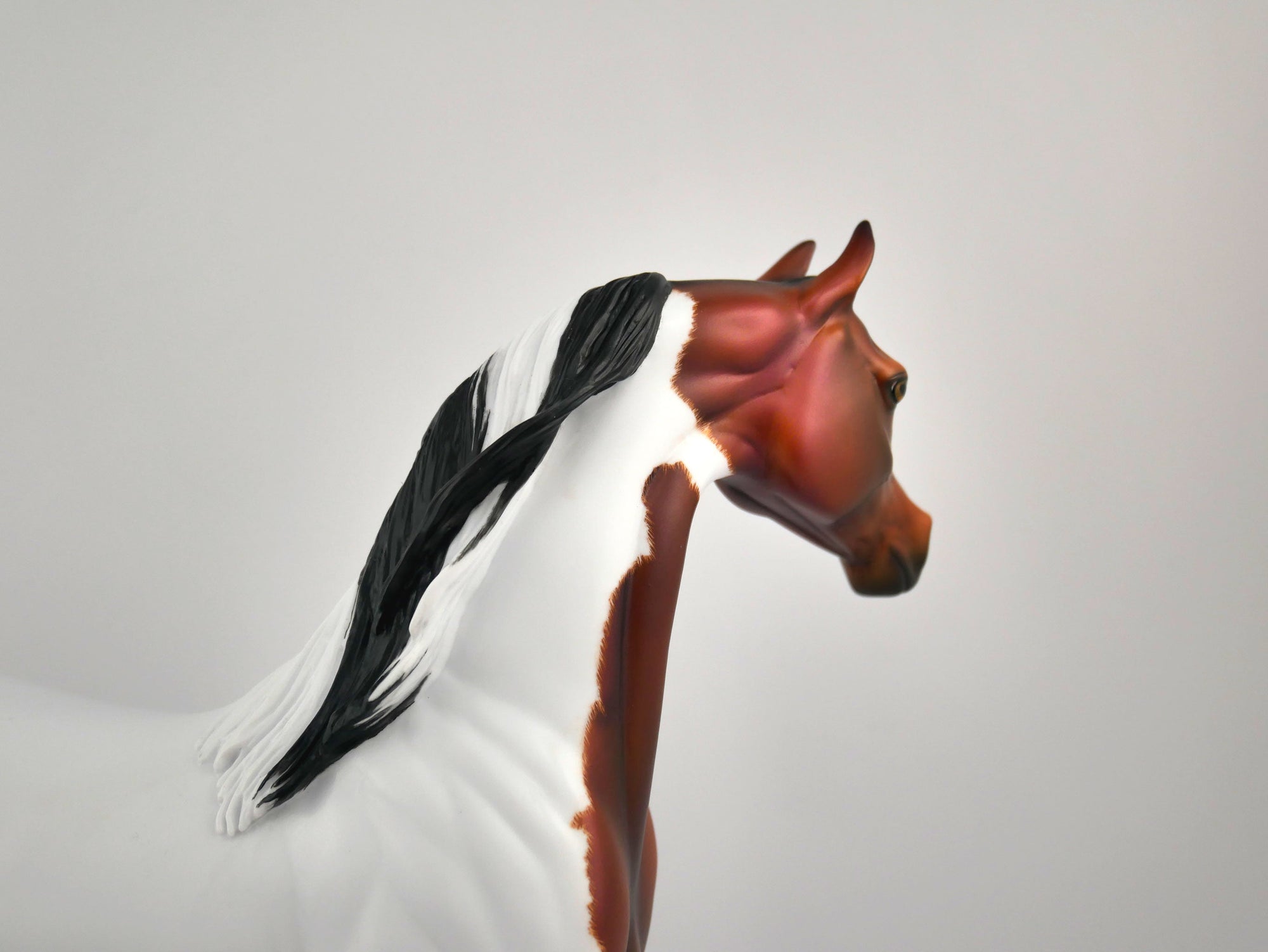 Pumpkin Spice-OOAK Bay Pinto Arabian By Julie Keim MM 2020