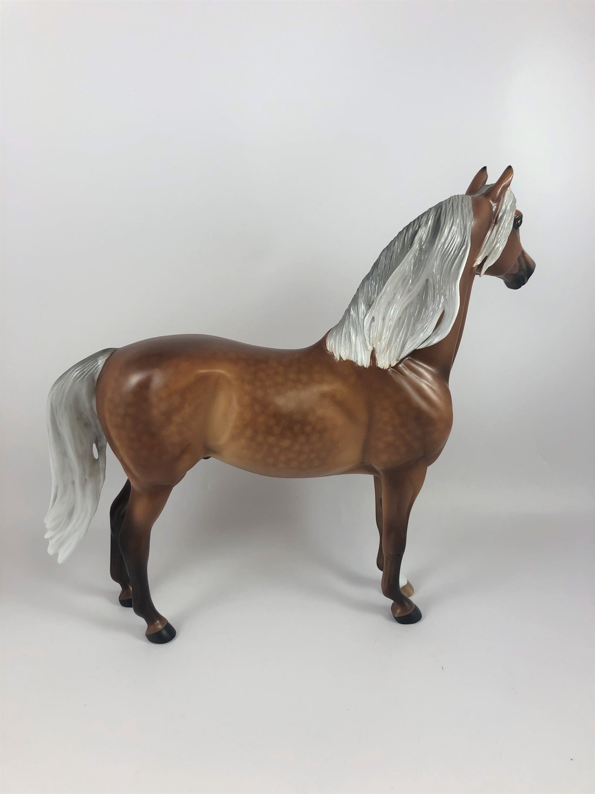 PUN KING -OOAK STAR DAPPLE LIGHT SILVER BAY  MORGAN BY SHERYL LEISURE LHS 19