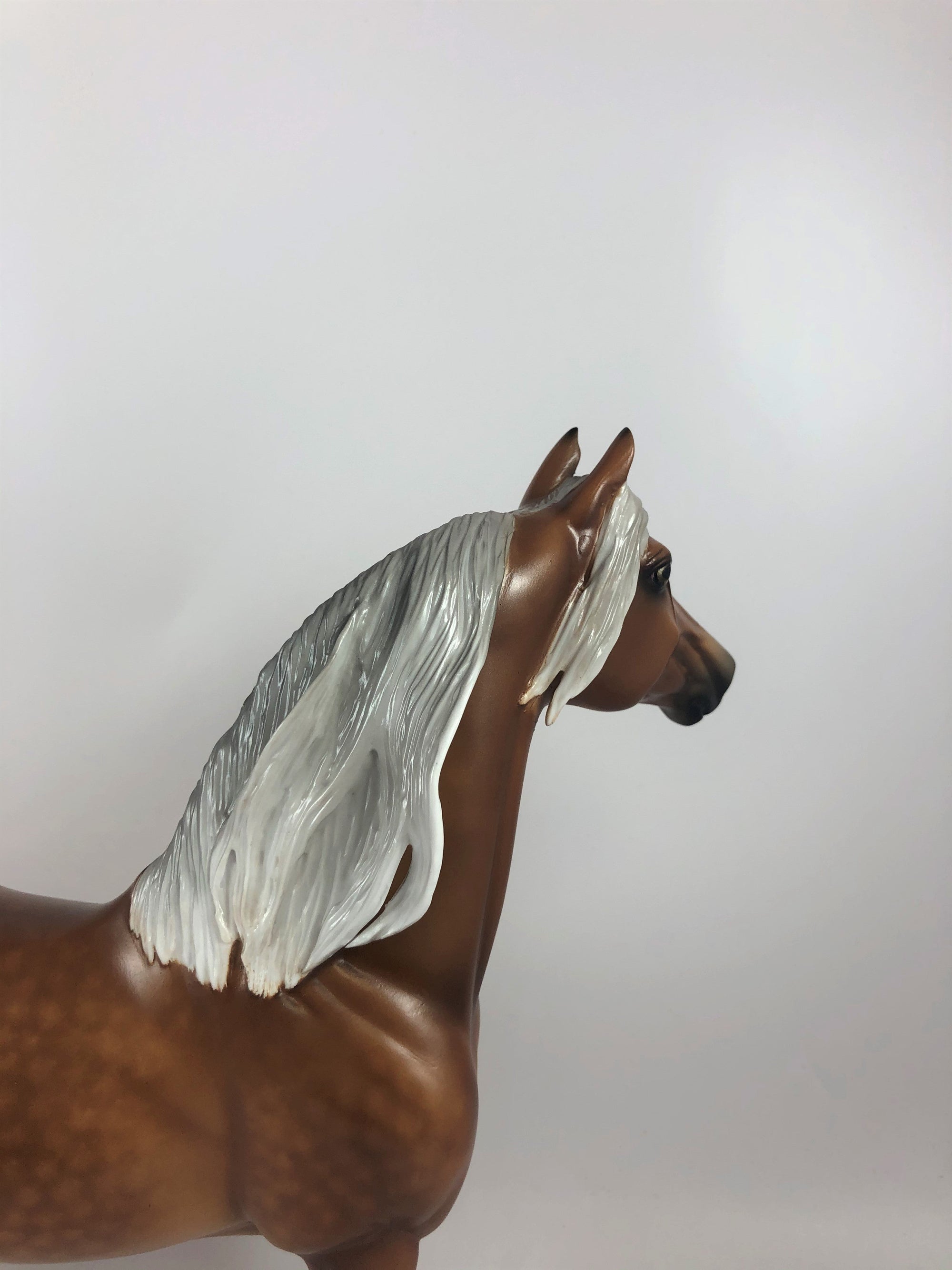PUN KING -OOAK STAR DAPPLE LIGHT SILVER BAY  MORGAN BY SHERYL LEISURE LHS 19