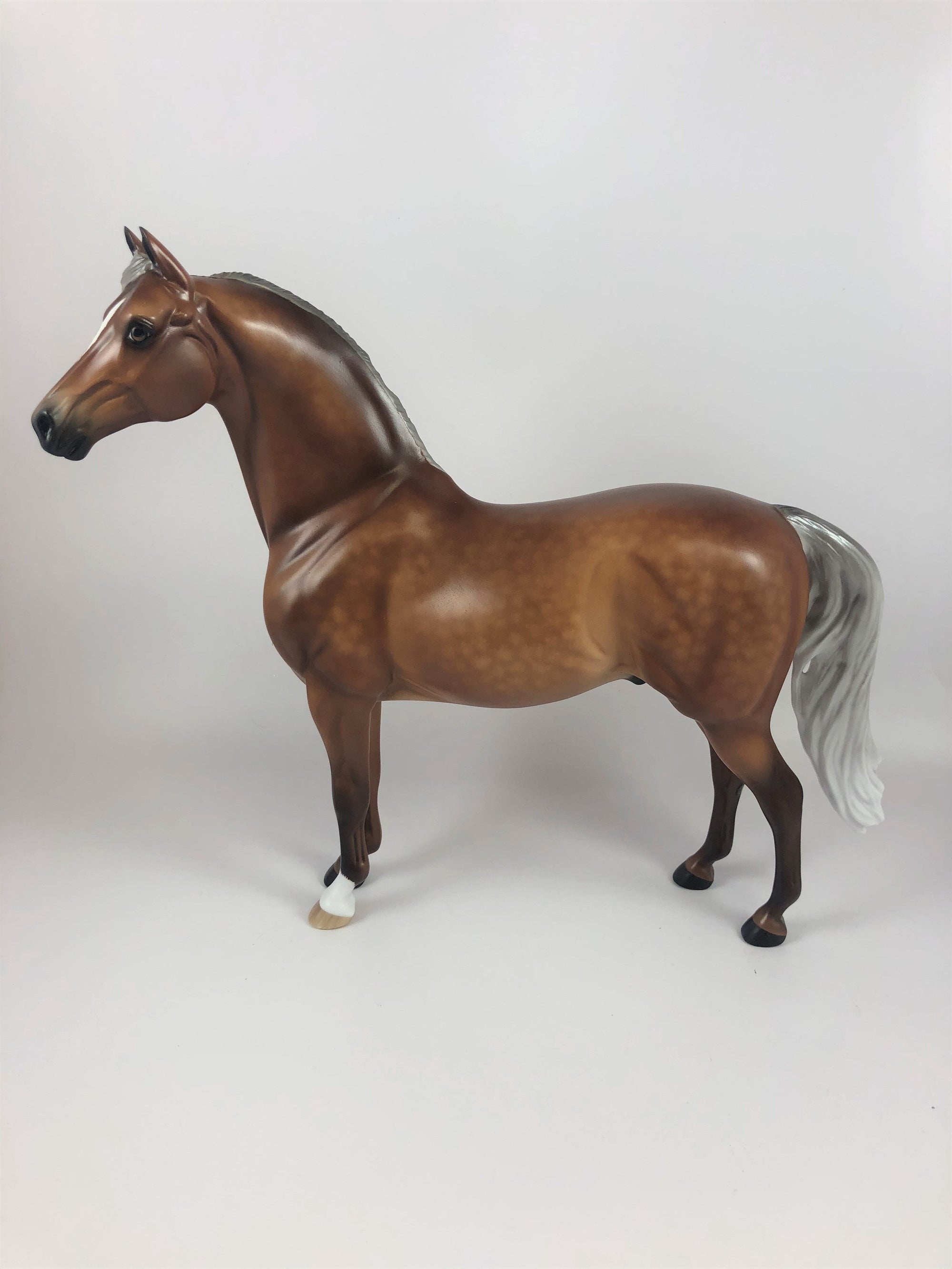 PUN KING -OOAK STAR DAPPLE LIGHT SILVER BAY  MORGAN BY SHERYL LEISURE LHS 19