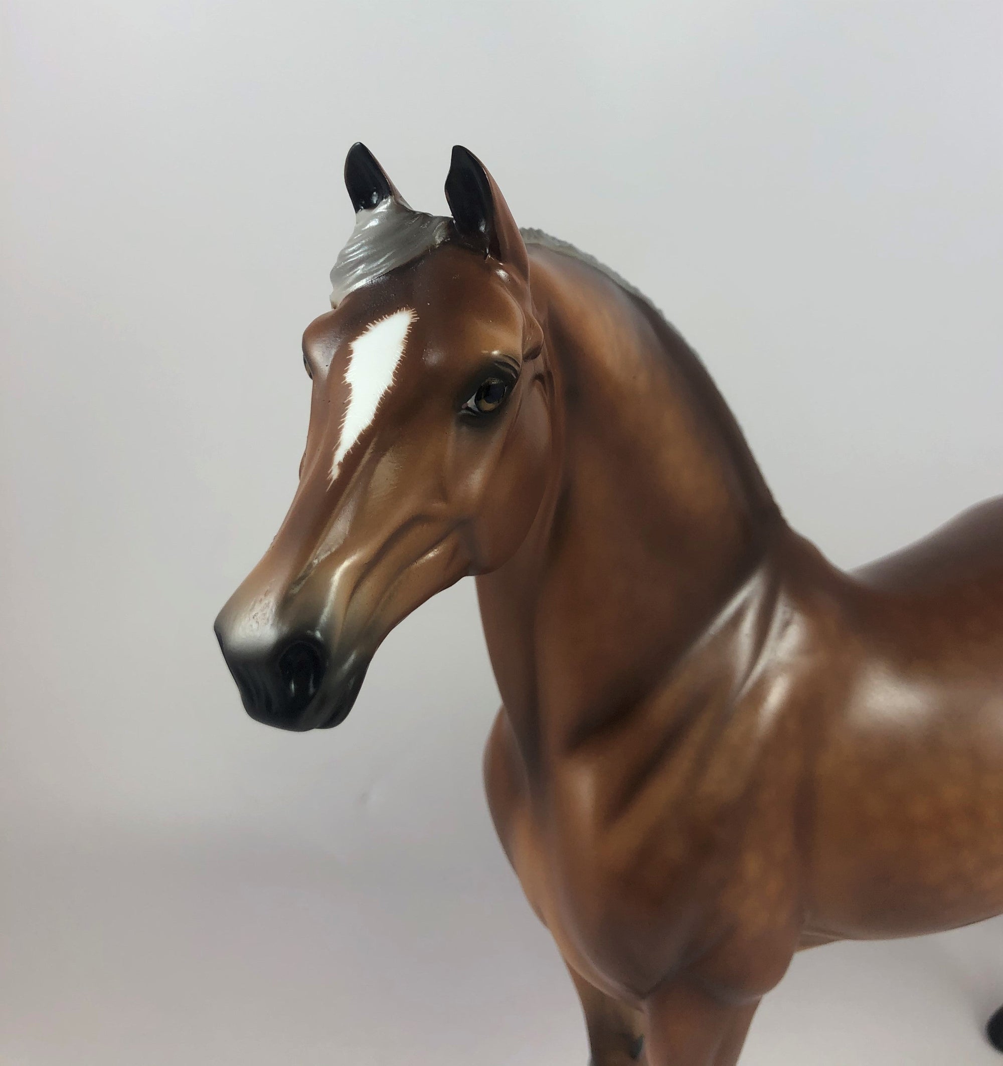 PUN KING -OOAK STAR DAPPLE LIGHT SILVER BAY  MORGAN BY SHERYL LEISURE LHS 19