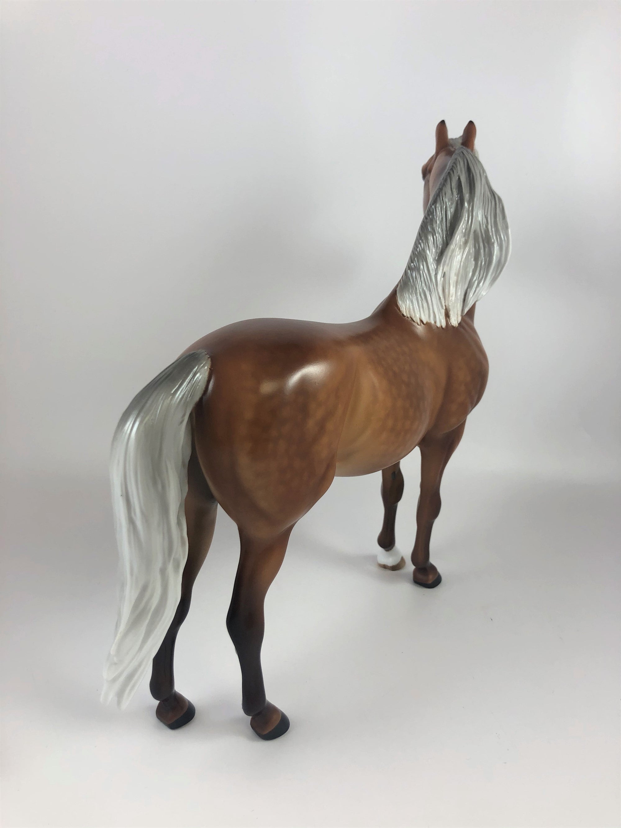 PUN KING -OOAK STAR DAPPLE LIGHT SILVER BAY  MORGAN BY SHERYL LEISURE LHS 19