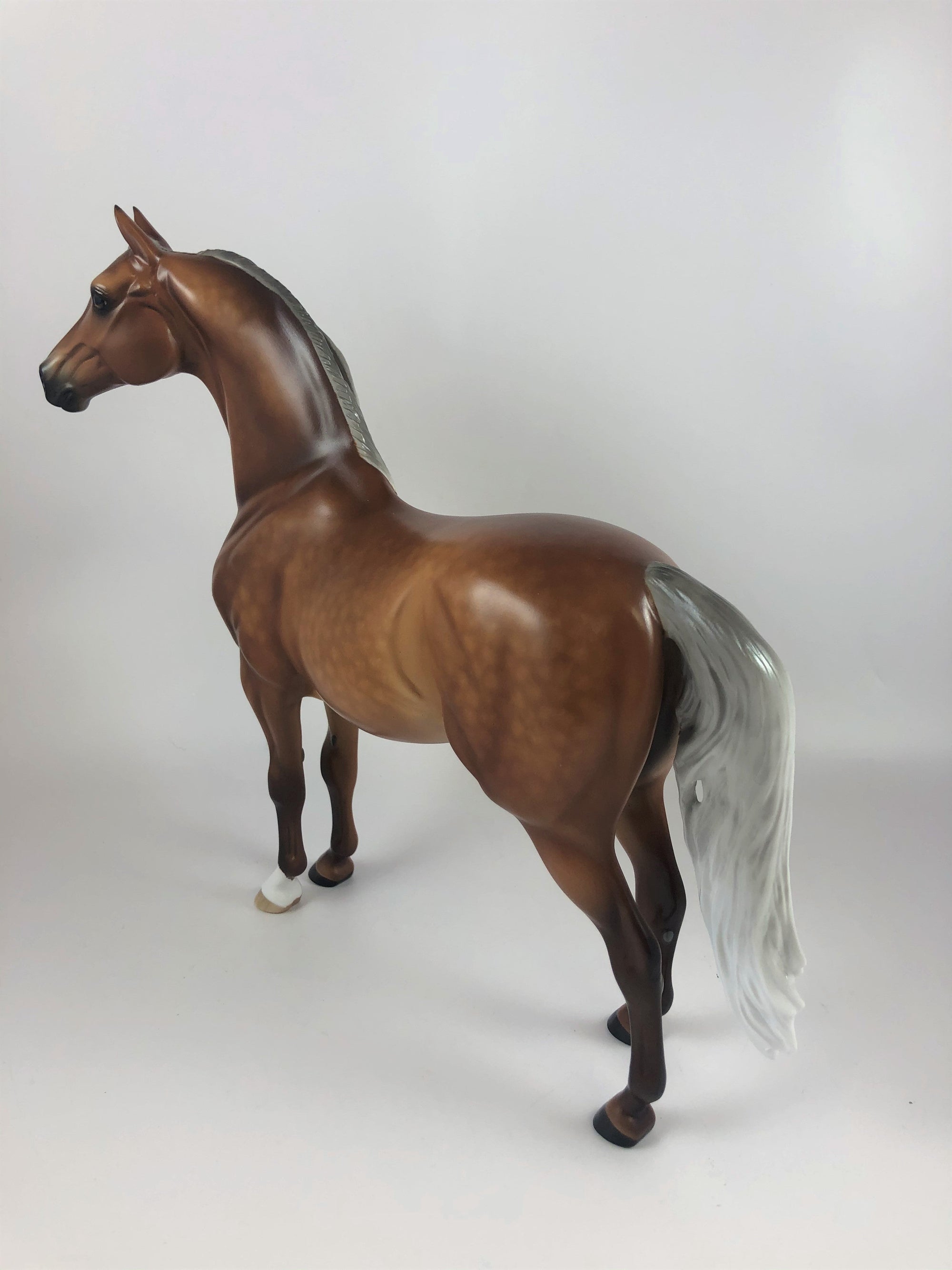 PUN KING -OOAK STAR DAPPLE LIGHT SILVER BAY  MORGAN BY SHERYL LEISURE LHS 19