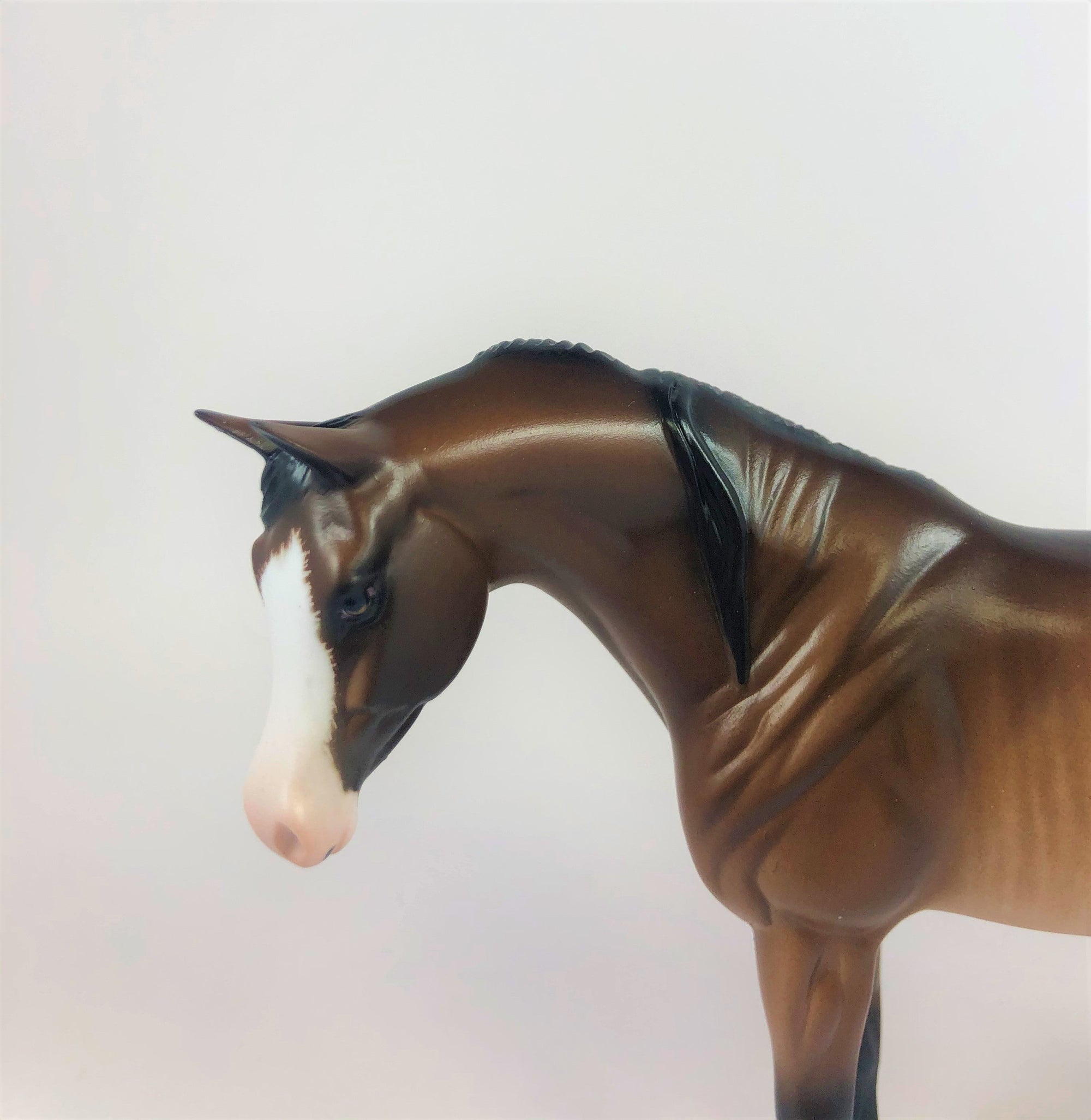 PUMPKIN SPICE-OOAK BAY RABICANO ARABIAN MARE PEBBLES LHS 2019