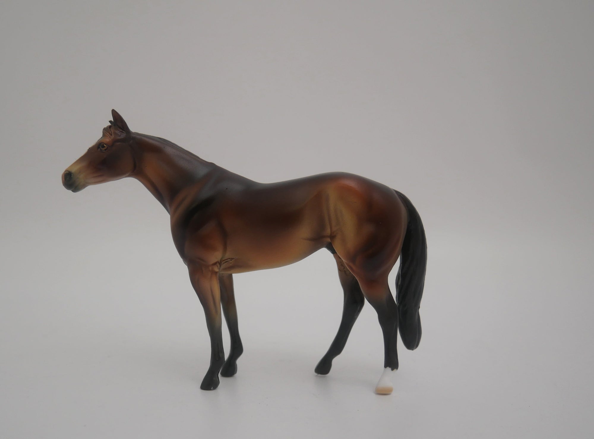 EQUILOCITY 2020 GRAB BAGS