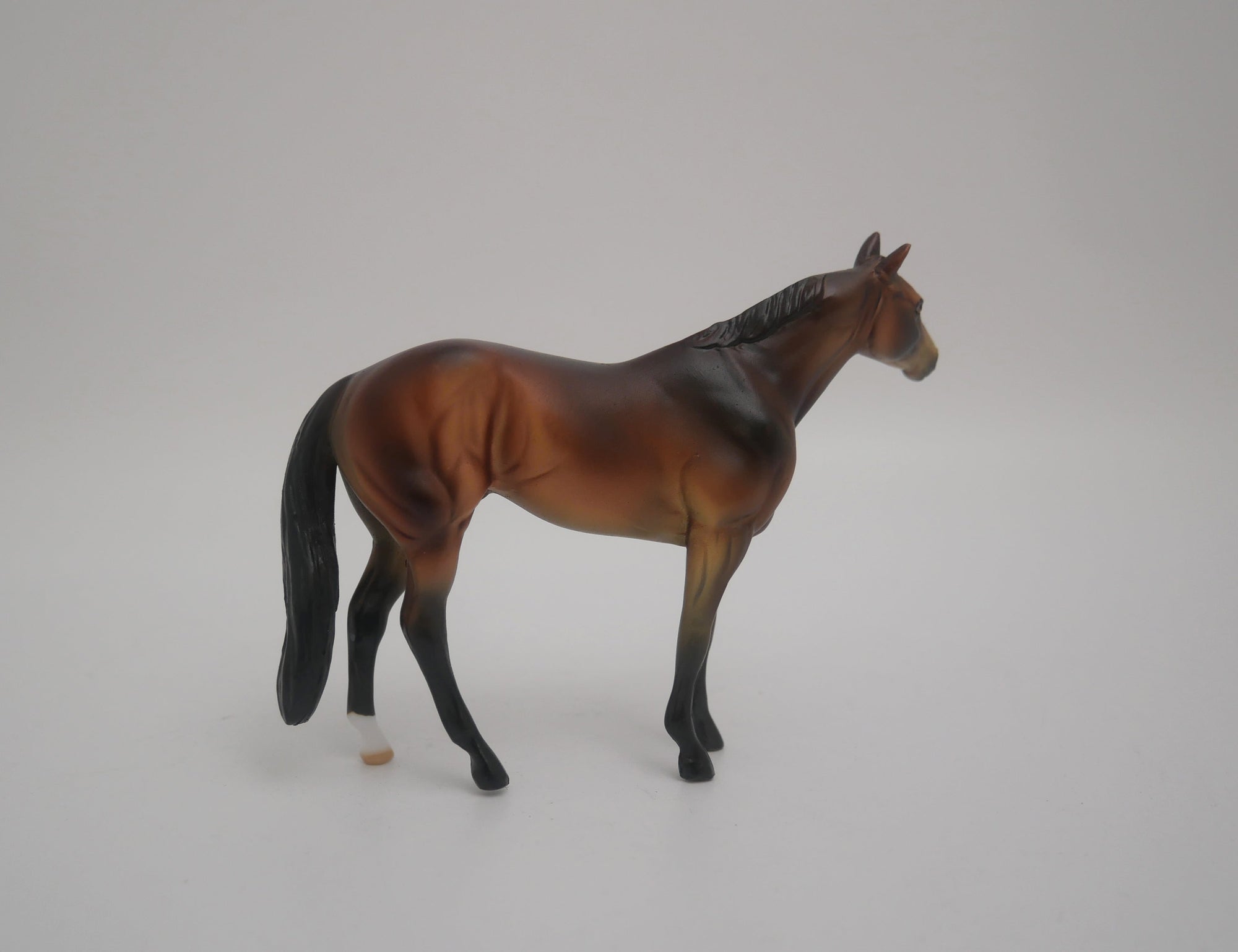 EQUILOCITY 2020 GRAB BAGS