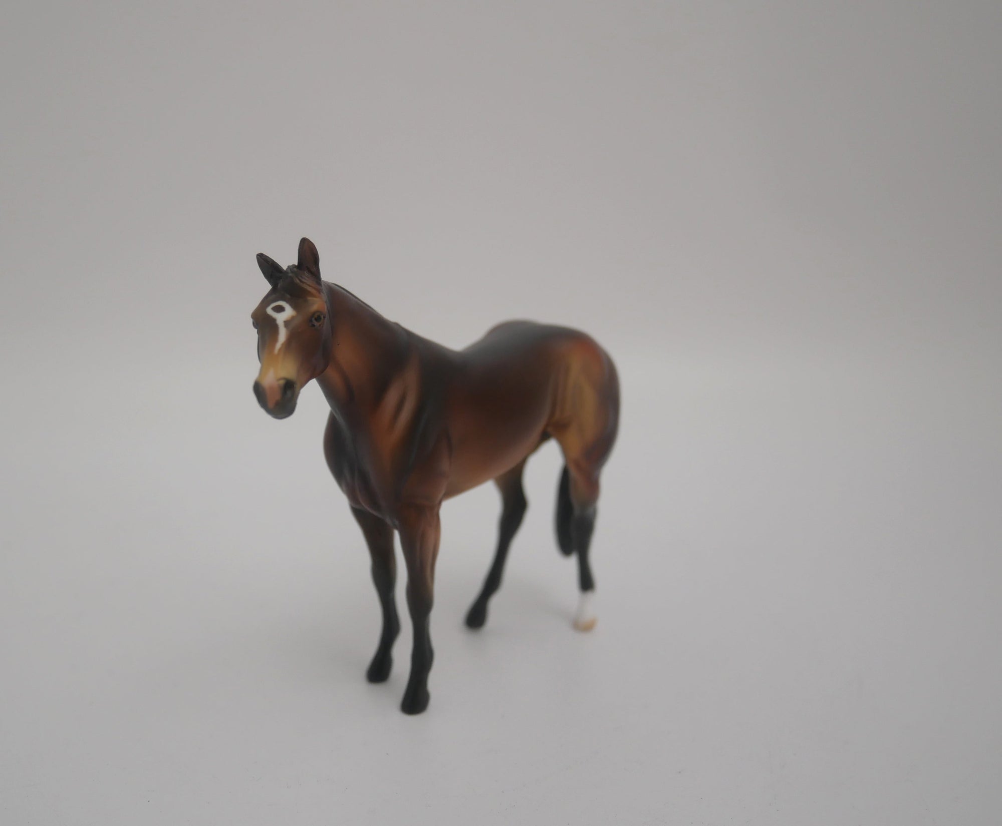 EQUILOCITY 2020 GRAB BAGS