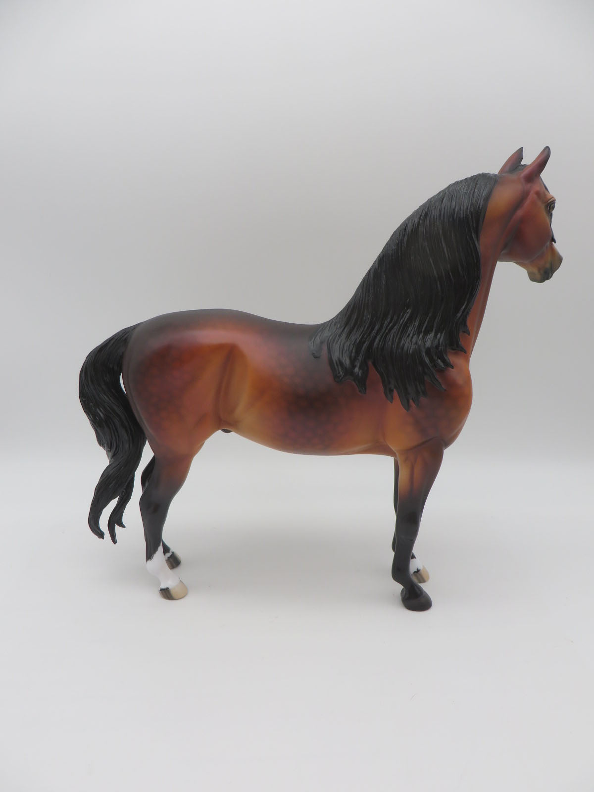 Pyre - OOAK - BEST OFFER -Dappled Sooty Bay Morgan - Painted By Ellen Robbins - MM22