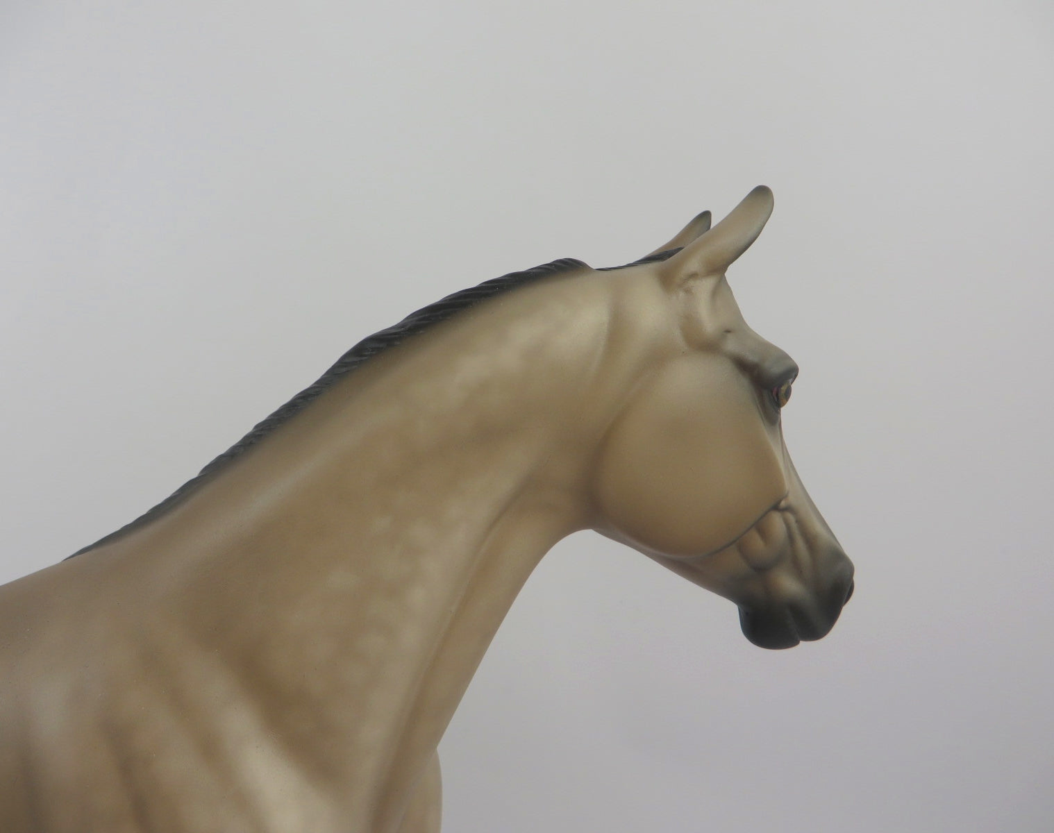 Quarles-OOAK Dapple Buckskin Palouse by Sheryl Leisure