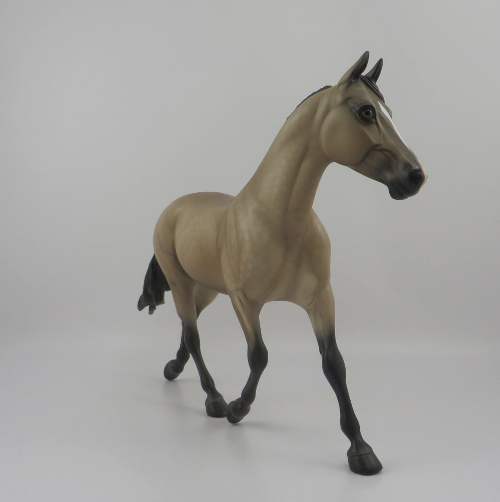 Quarles-OOAK Dapple Buckskin Palouse by Sheryl Leisure