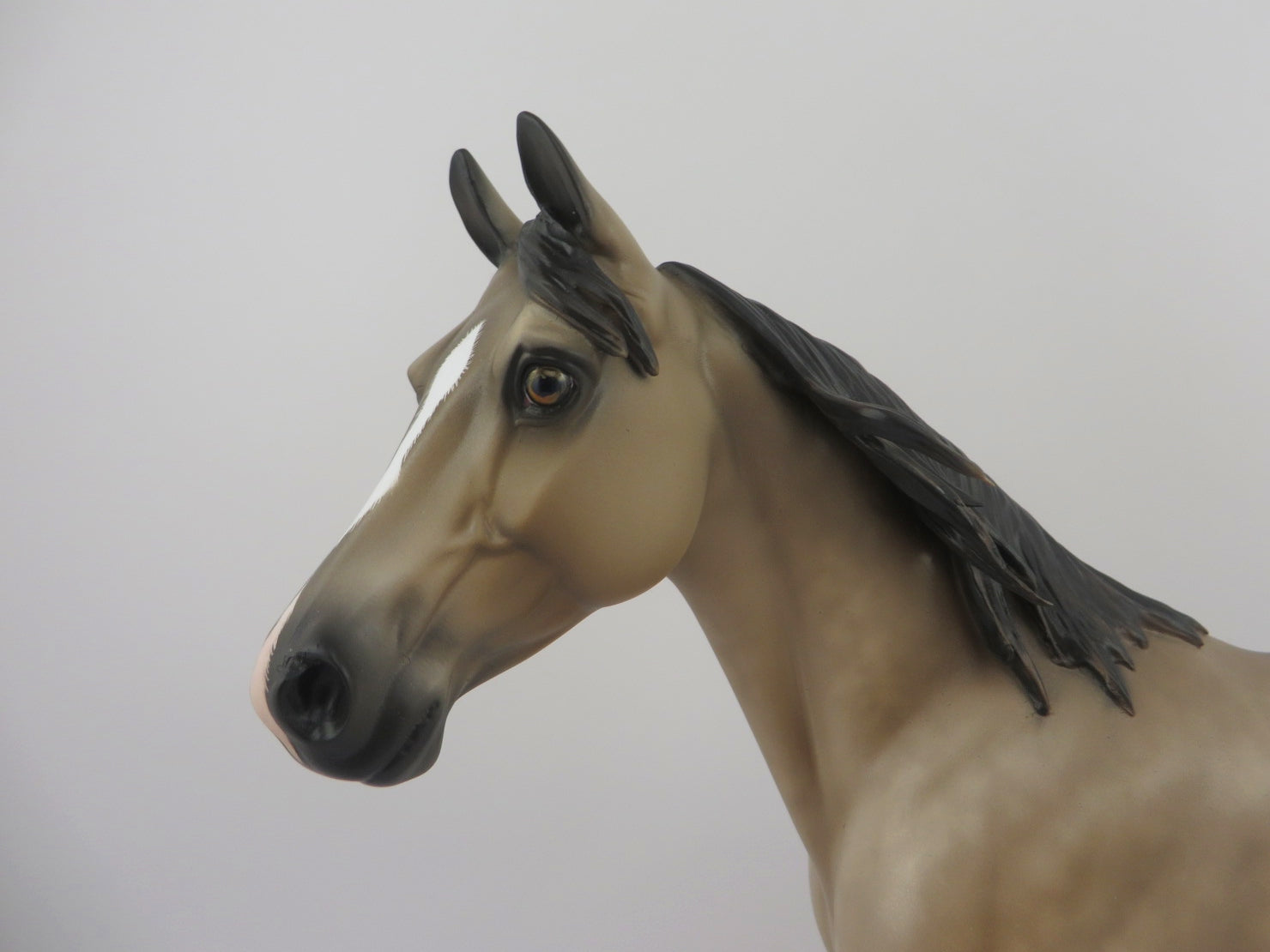 Quarles-OOAK Dapple Buckskin Palouse by Sheryl Leisure