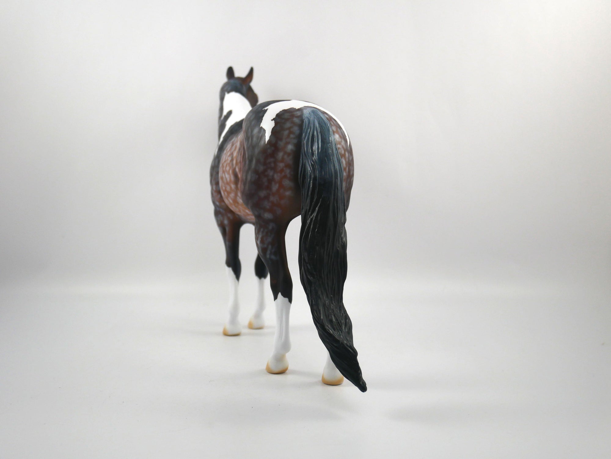 Quarterback Sack-OOAK Star Dapple Bay Paint ISH SB 21