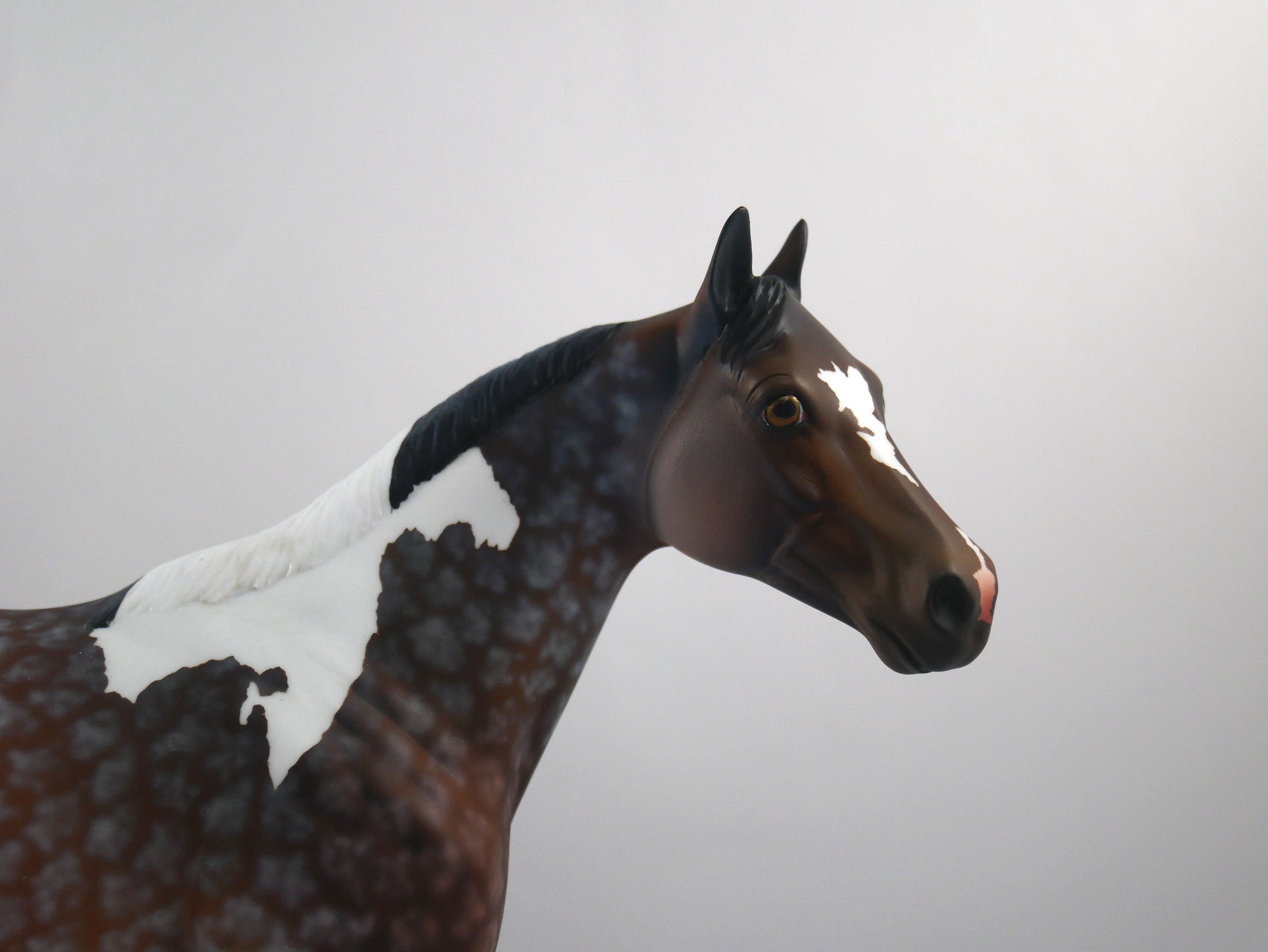 Quarterback Sack-OOAK Star Dapple Bay Paint ISH SB 21