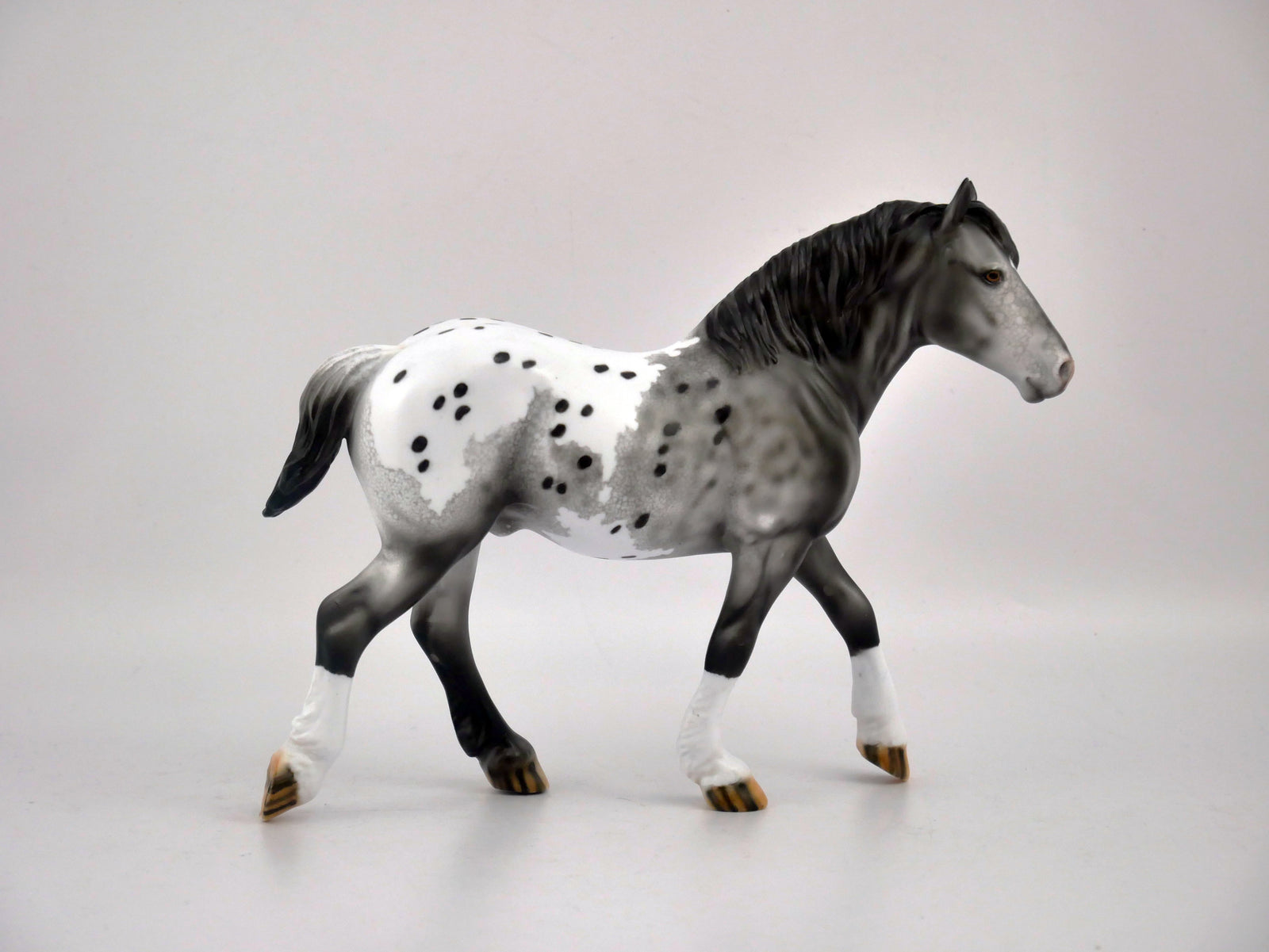 QUARTZ GREY-OOAK GRAY APPALOOSA BY DAWN QUICK
