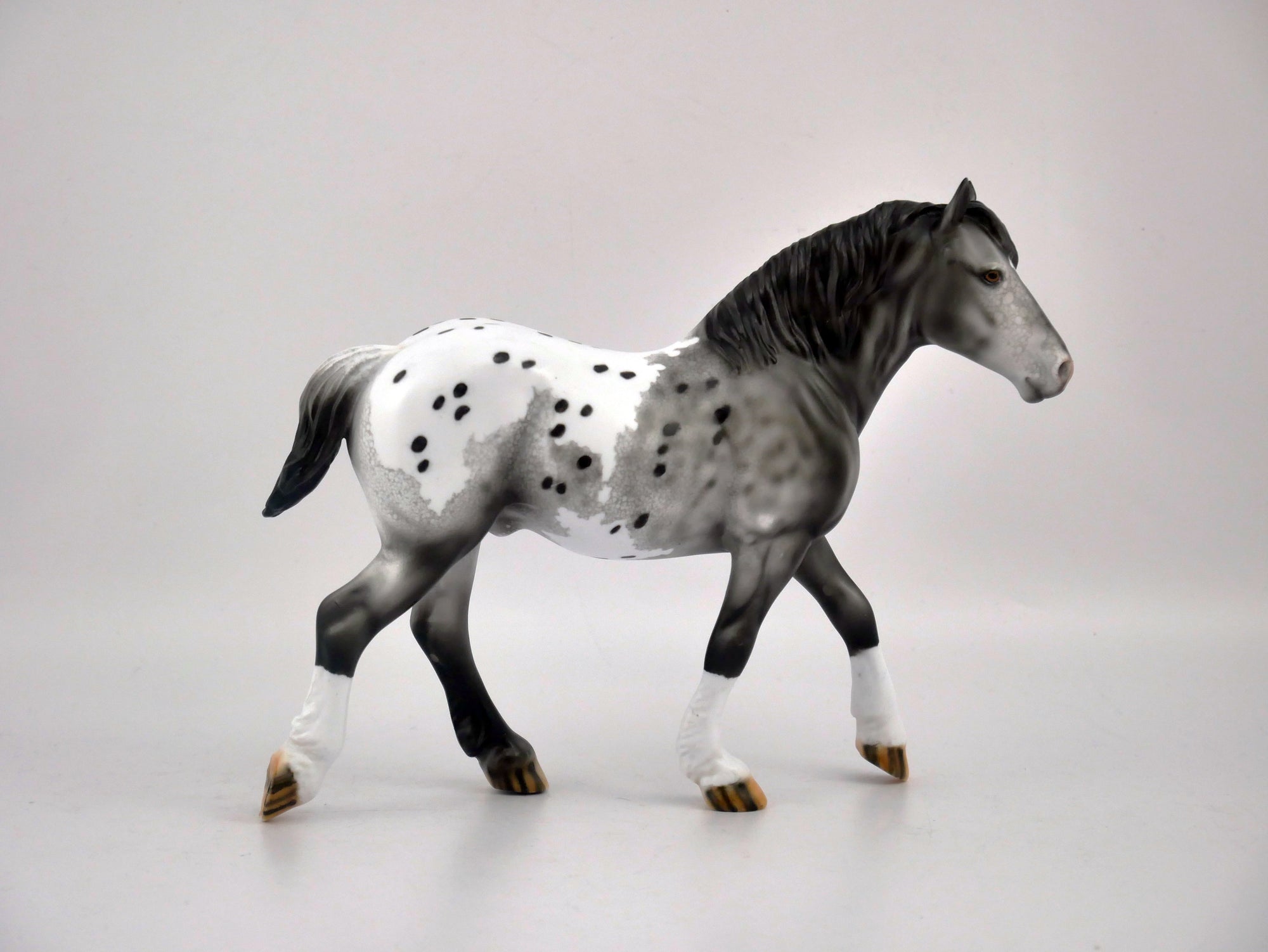 QUARTZ GREY-OOAK GRAY APPALOOSA BY DAWN QUICK