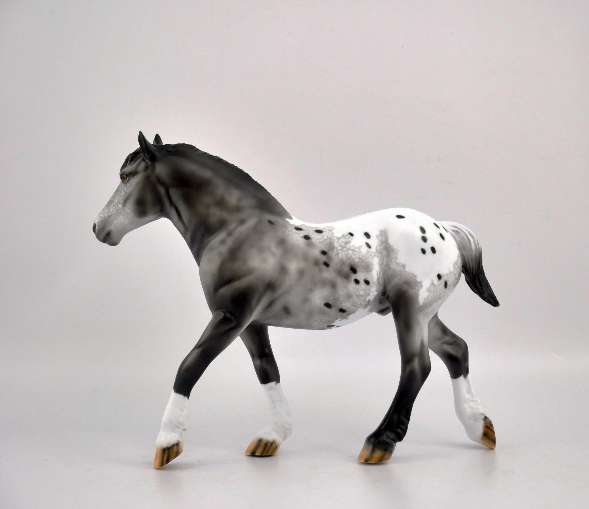 QUARTZ GREY-OOAK GRAY APPALOOSA BY DAWN QUICK