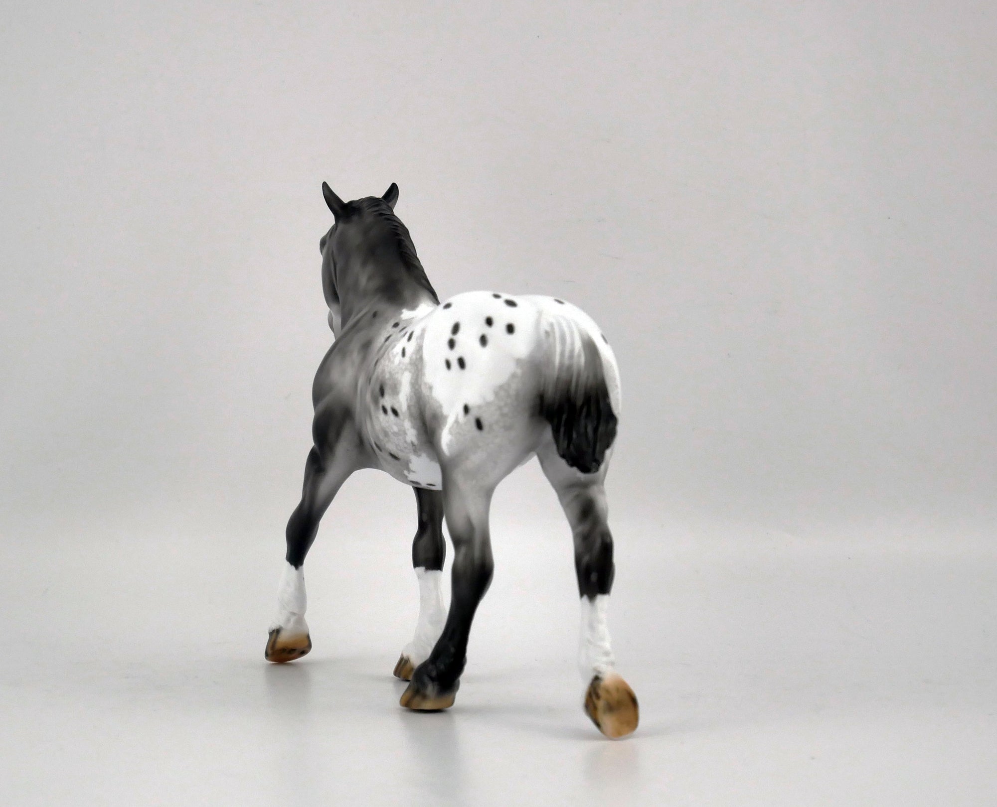 QUARTZ GREY-OOAK GRAY APPALOOSA BY DAWN QUICK