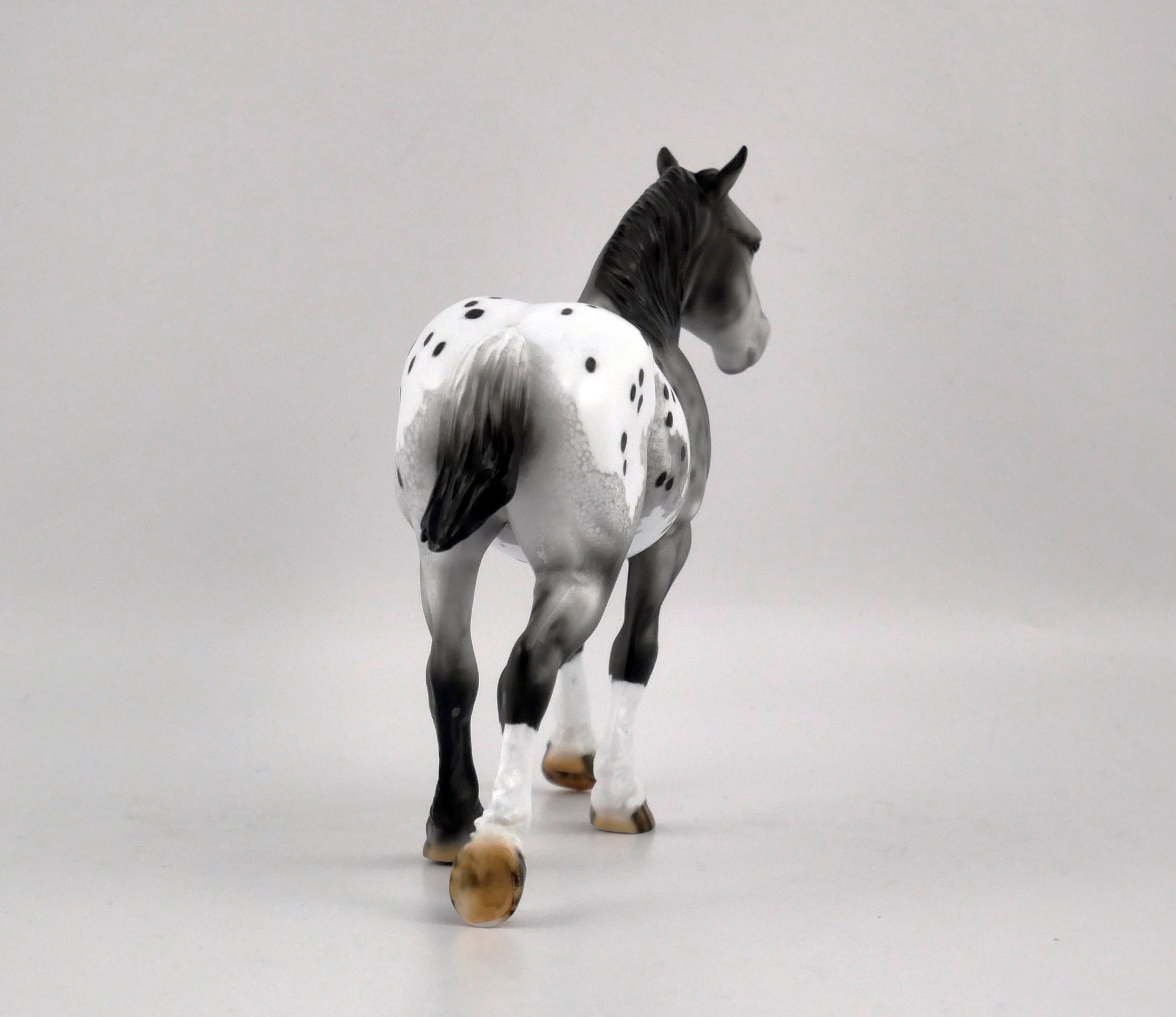 QUARTZ GREY-OOAK GRAY APPALOOSA BY DAWN QUICK