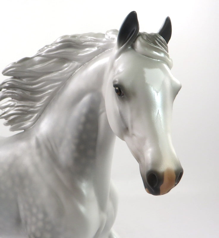 QUEEN AMELIA-OOAK DAPPLE GREY ARABIAN MARE MODEL HORSE BY AUDREY DIXON 1-3-20