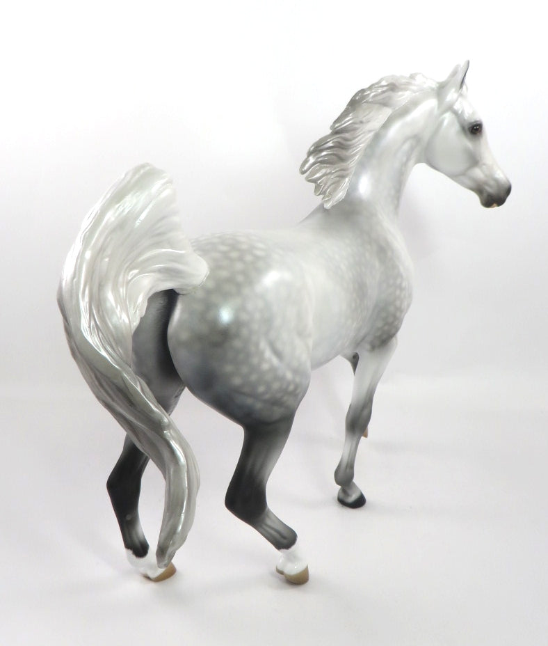 QUEEN AMELIA-OOAK DAPPLE GREY ARABIAN MARE MODEL HORSE BY AUDREY DIXON 1-3-20