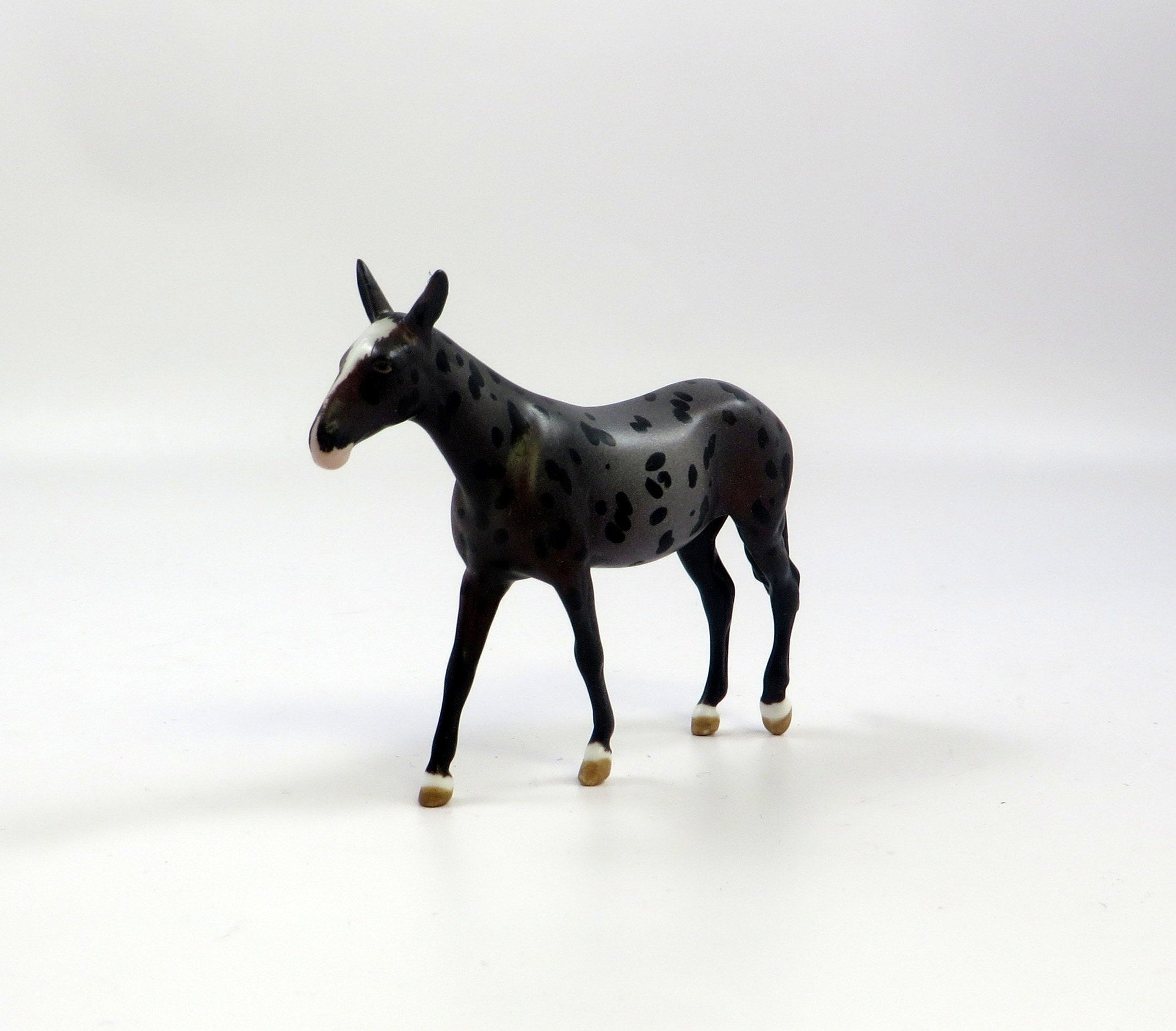 QUEEN ANNE-OOAK LOUD APPALOOSA MULE CHIP MODEL HORSE EQ 2019