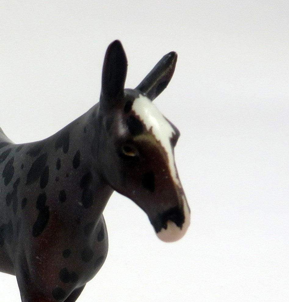 QUEEN ANNE-OOAK LOUD APPALOOSA MULE CHIP MODEL HORSE EQ 2019