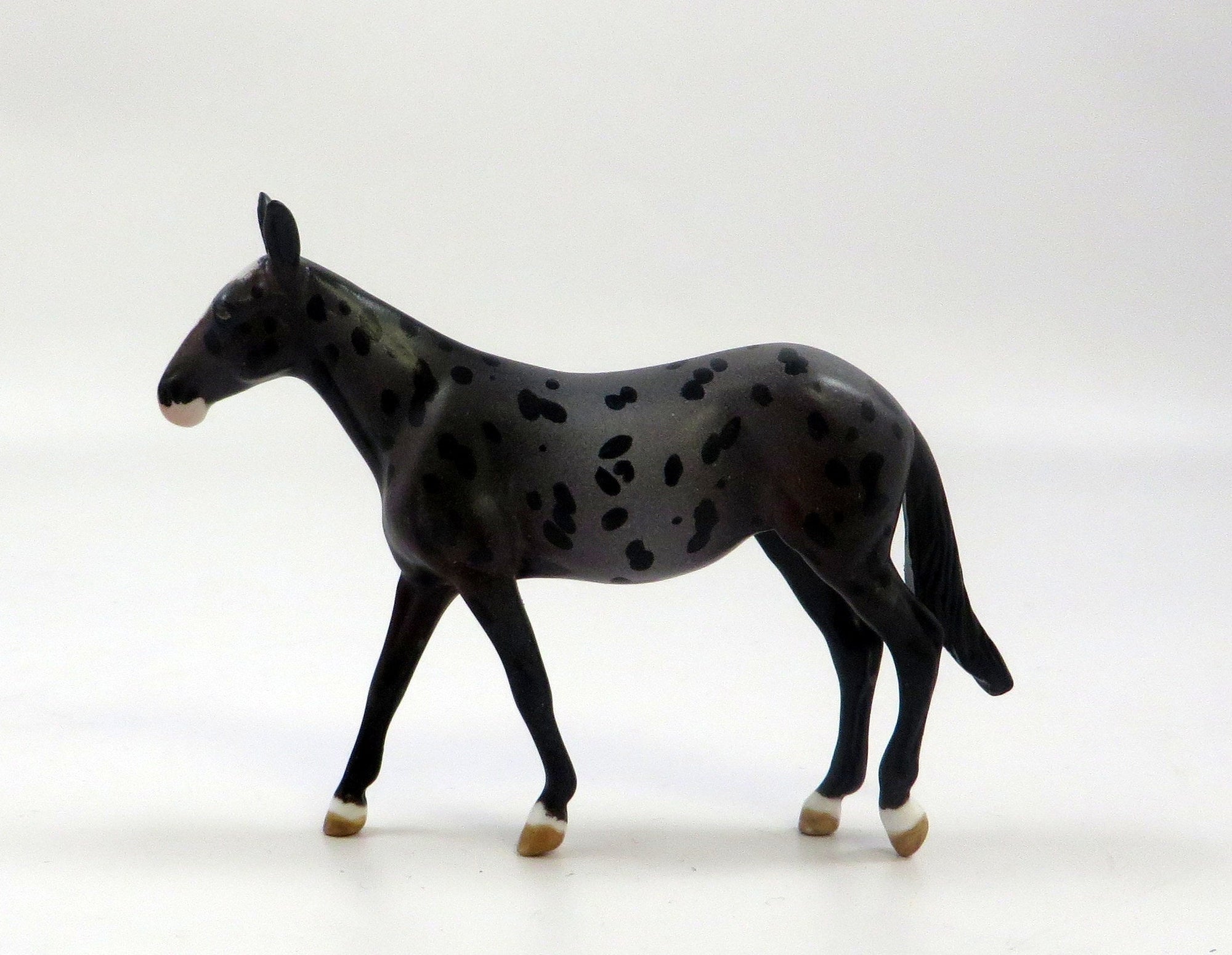 QUEEN ANNE-OOAK LOUD APPALOOSA MULE CHIP MODEL HORSE EQ 2019
