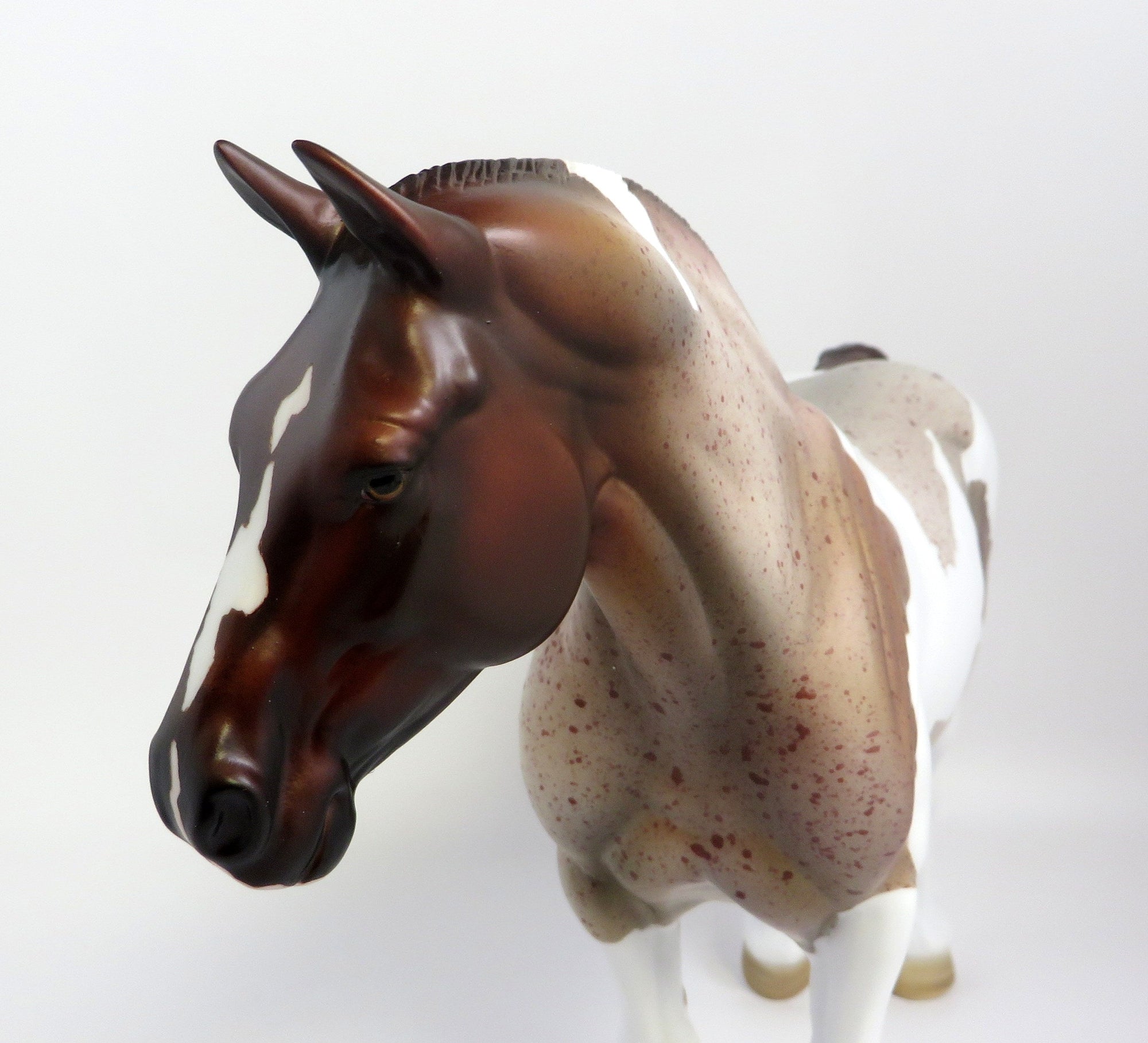 Queenie B-OOAK CHESTNUT PINTALOOSA HEAVY DRAFT MARE EQ 19