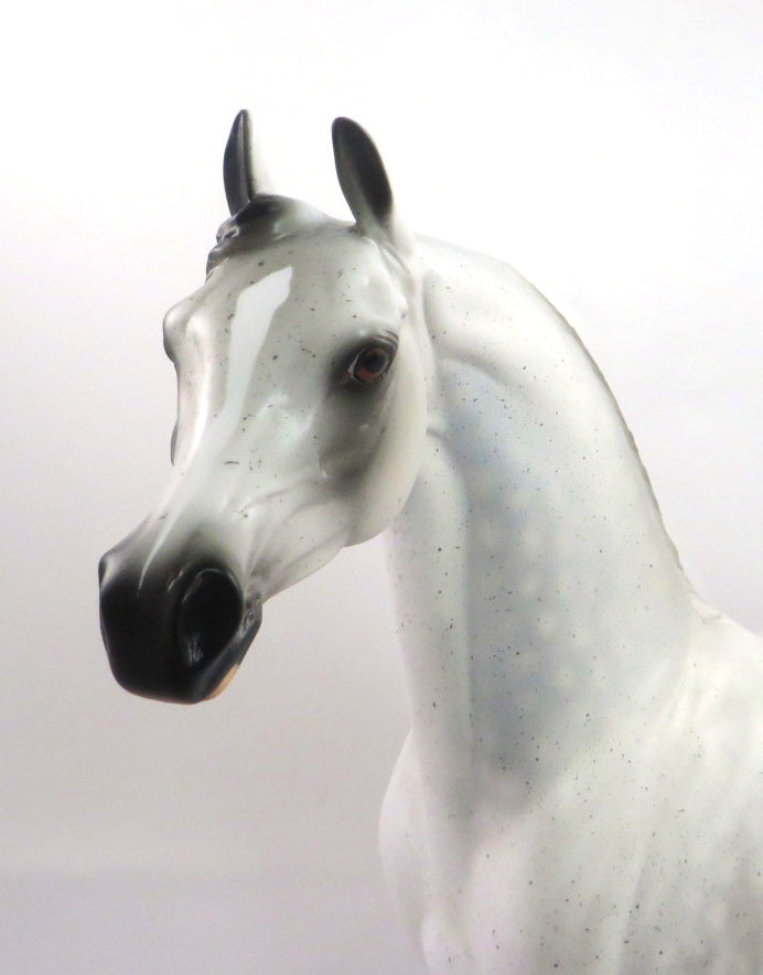 QUICK SILVER-OOAK DAPPLE GREY ARABIAN MODEL HORSE PJ 2020