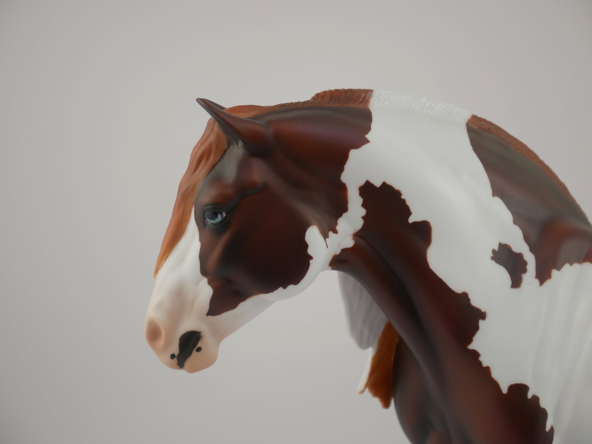 Quiet Reflections LE-? Art of the Horse Finalist by Ariel Stanowski