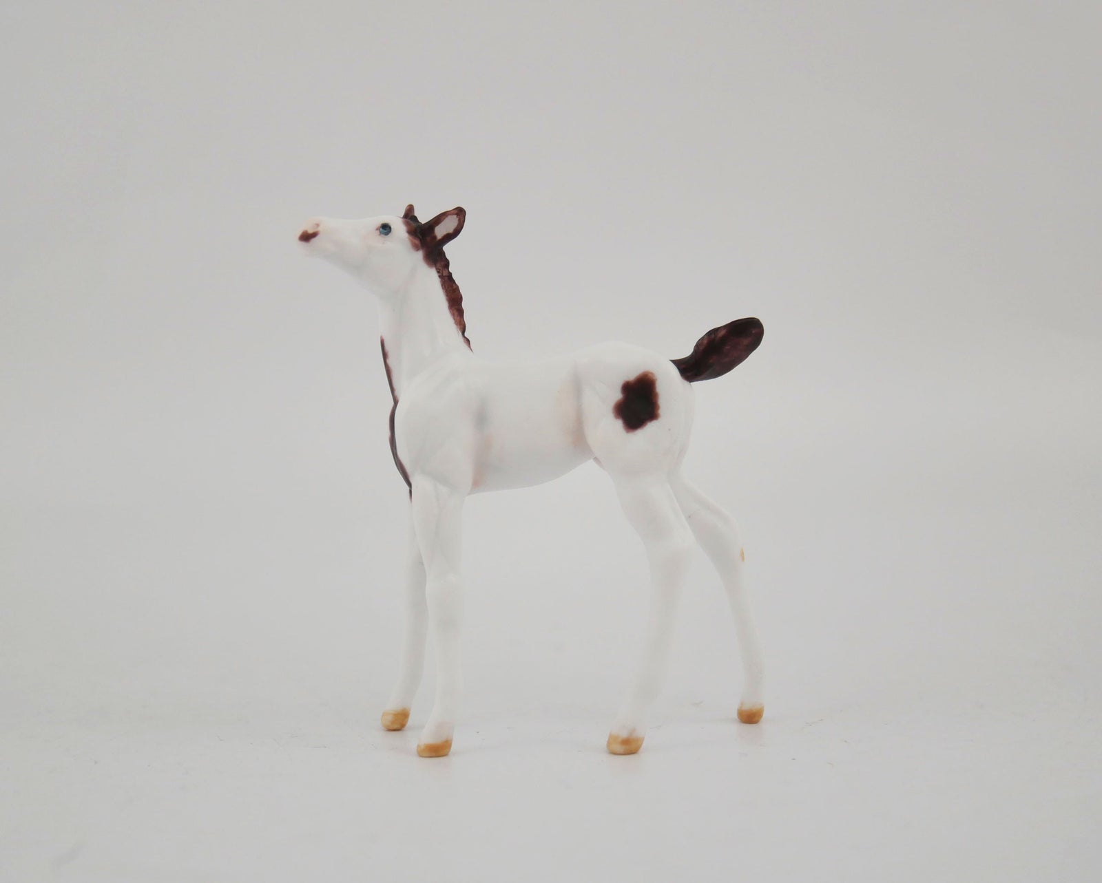 Quinn-OOAK Foal Pinto Chip By Andrea MM 2020