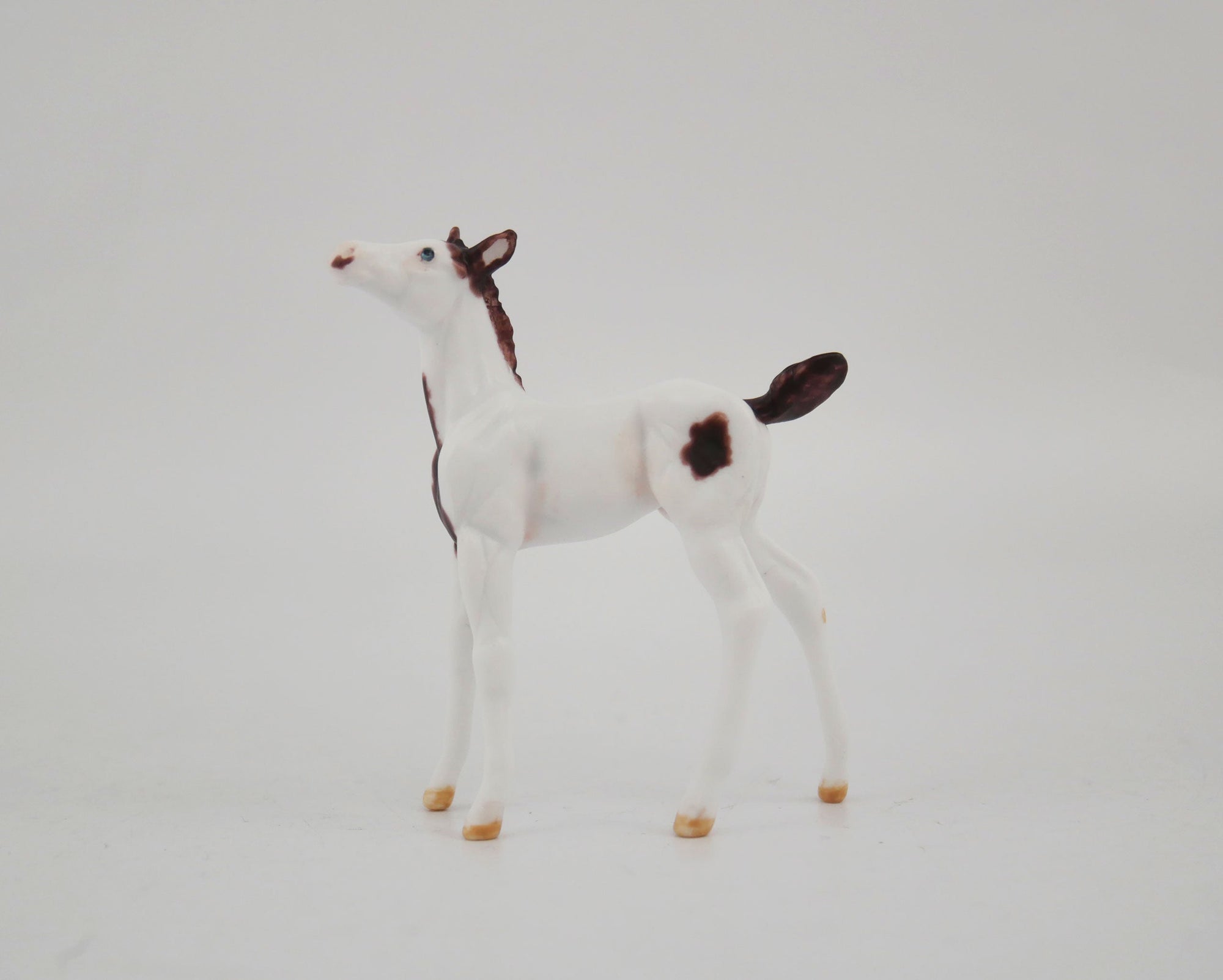 Quinn-OOAK Foal Pinto Chip By Andrea MM 2020