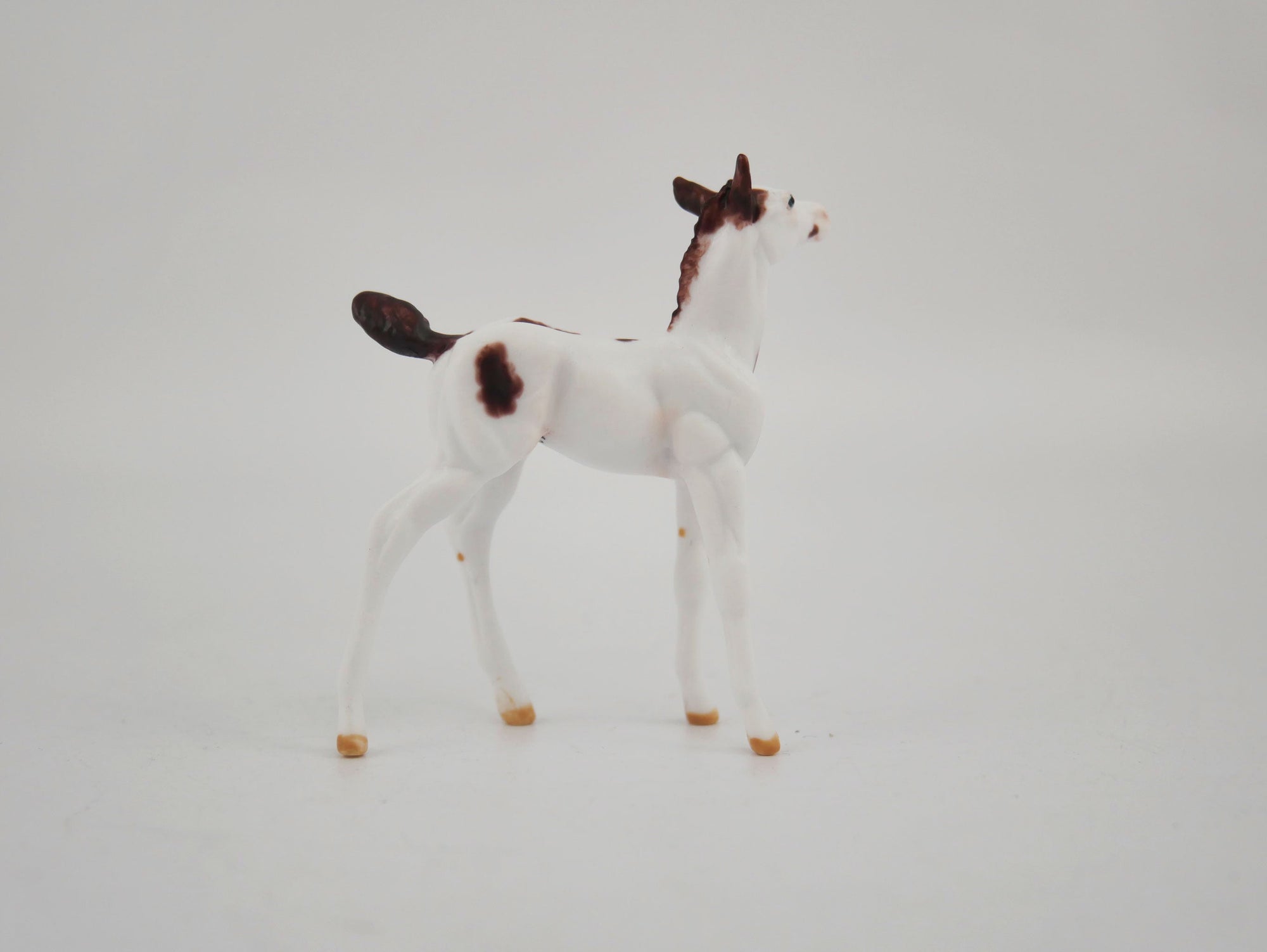 Quinn-OOAK Foal Pinto Chip By Andrea MM 2020