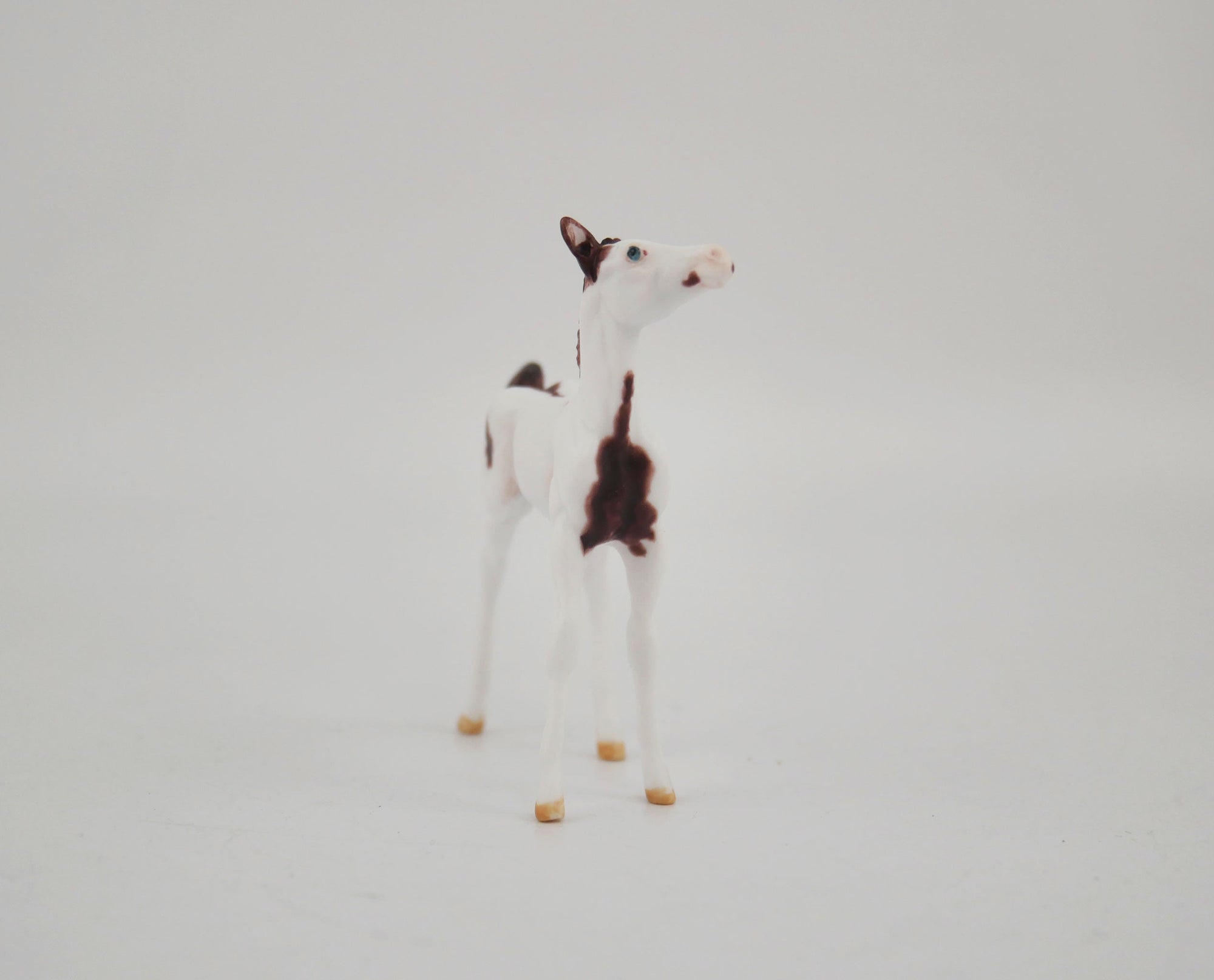 Quinn-OOAK Foal Pinto Chip By Andrea MM 2020