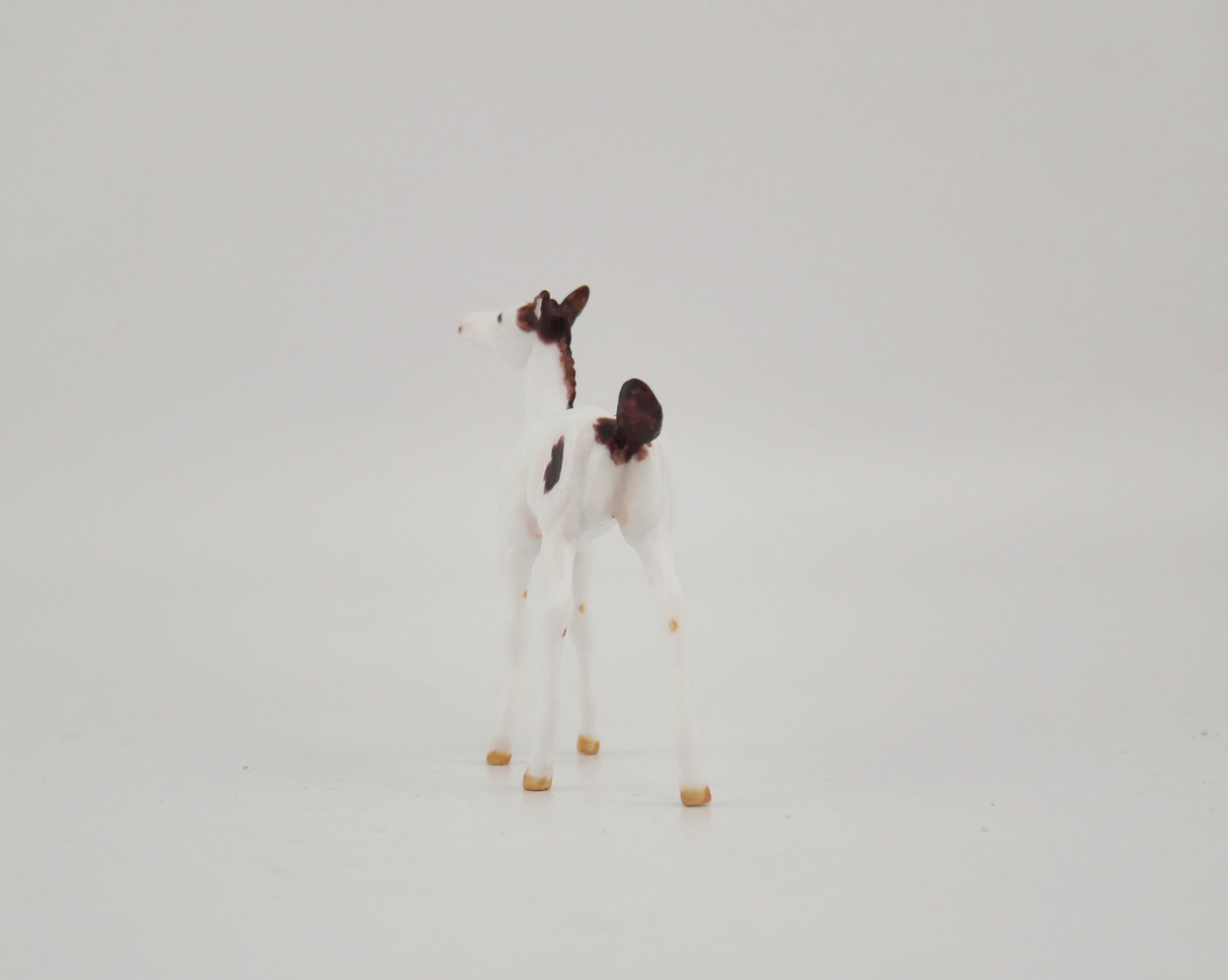Quinn-OOAK Foal Pinto Chip By Andrea MM 2020