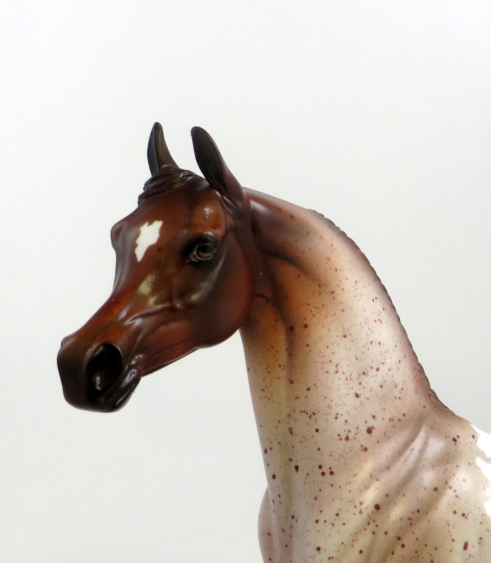 RAGMAN-OOAK CHESTNUT PINTALOOSA ARABIAN MODEL HORSE EQ 19