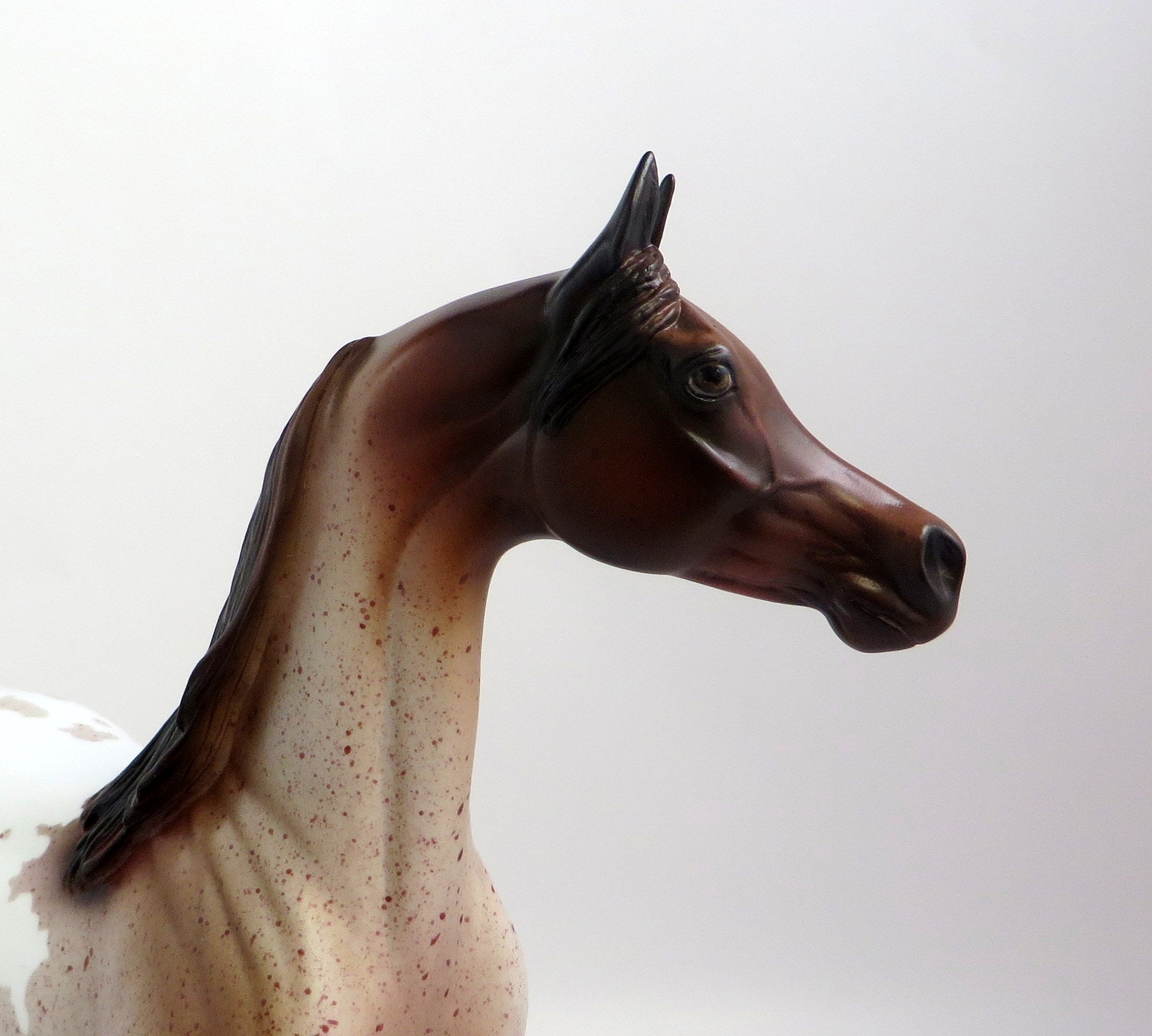 RAGMAN-OOAK CHESTNUT PINTALOOSA ARABIAN MODEL HORSE EQ 19
